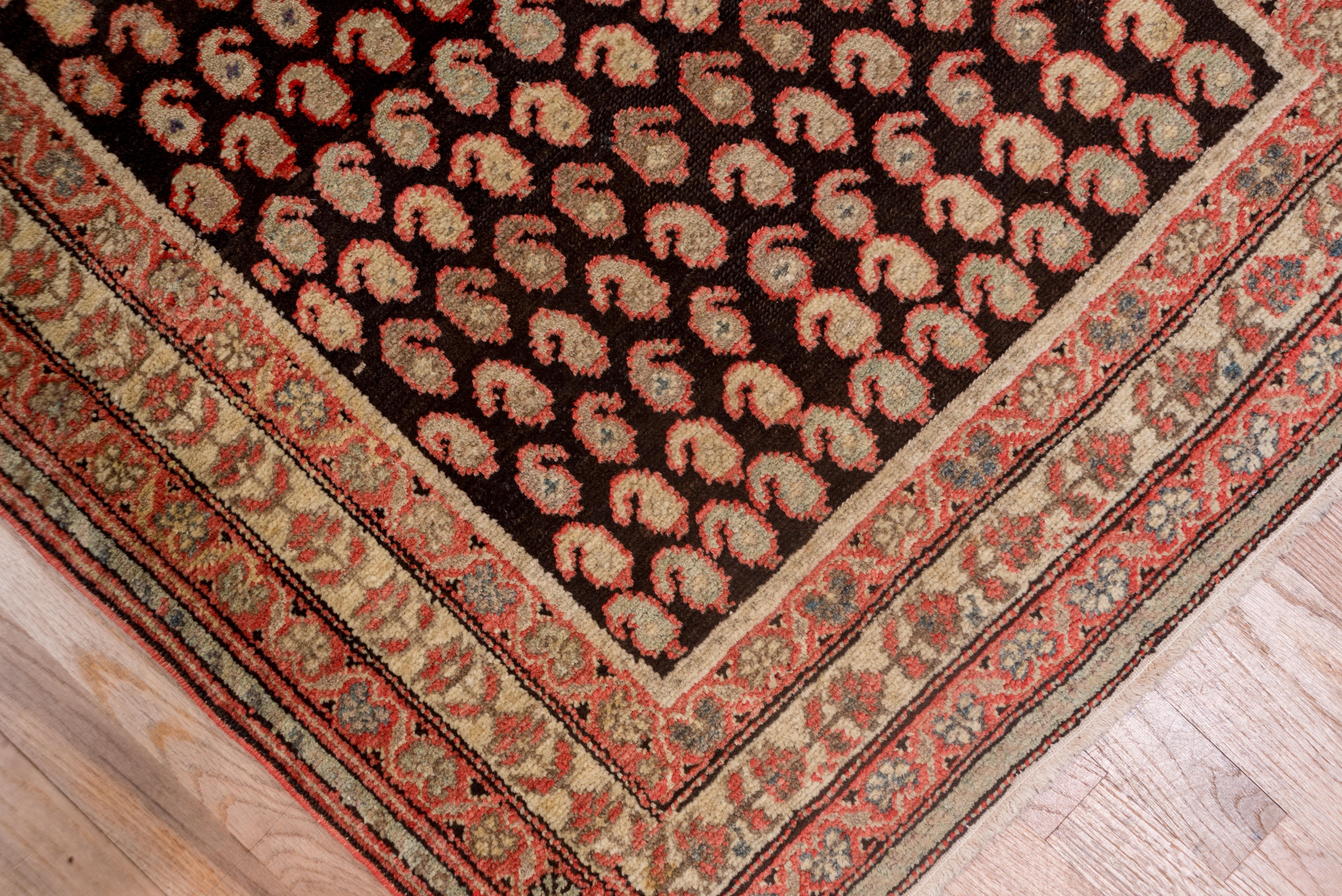 Hand-Knotted Early 20th Century Malayer Runner For Sale
