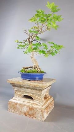 Early 20th Century Marble and Ormolu Mounted Clock Stand