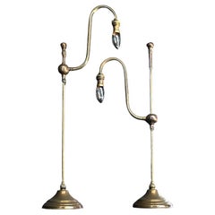 Early 20th Century Match Pair of Brass Swan Neck Lamp