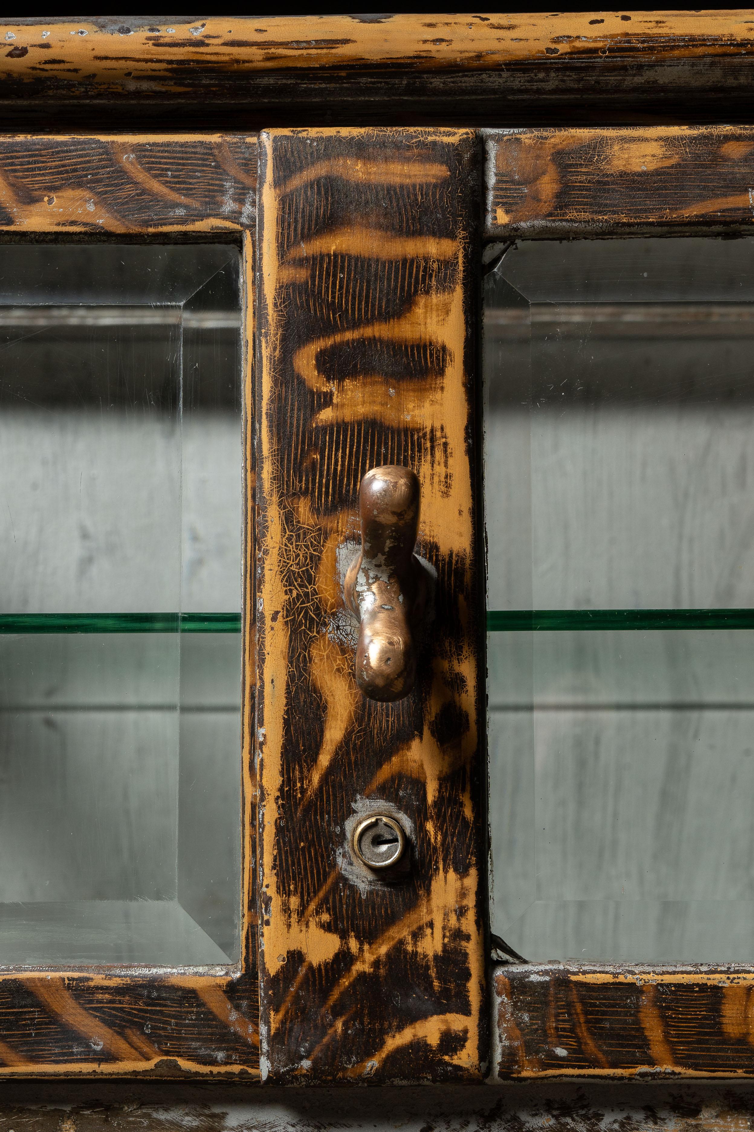 Early 20th Century Medical Display Case by Clark & Roberts For Sale 9
