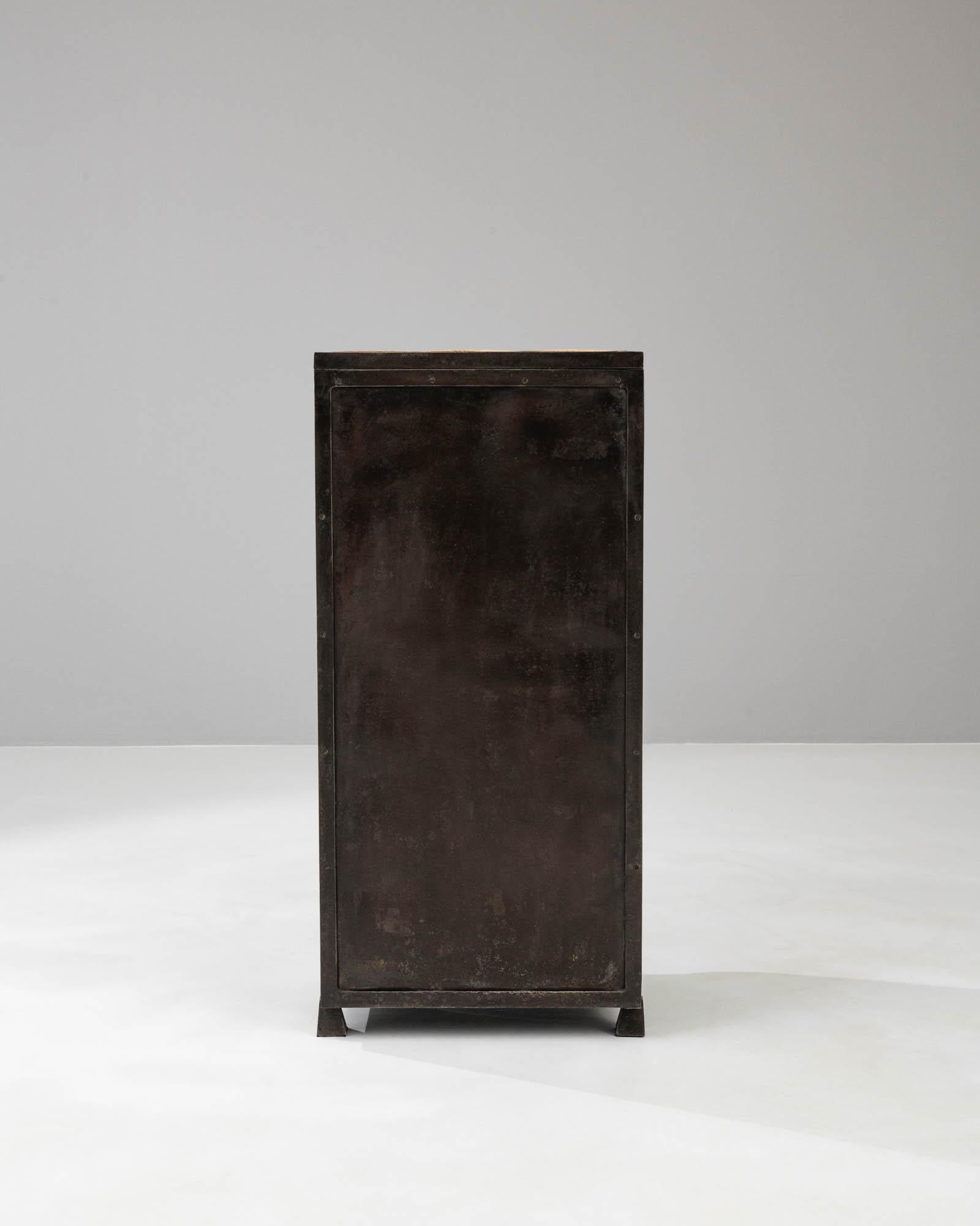 Early 20th Century Metal Cabinet For Sale 11