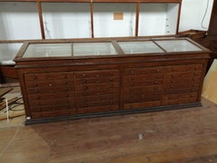Niedrige Museumsvitrine des frühen 20. Jahrhunderts aus dem Natural Science Museum von Barcelona