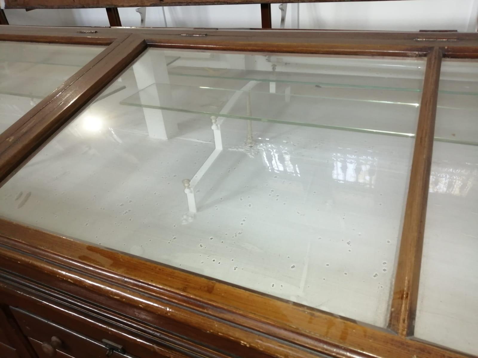Early 20th Century Museum Low Vitrine from Barcelona's Natural Science Museum In Good Condition In Vulpellac, Girona