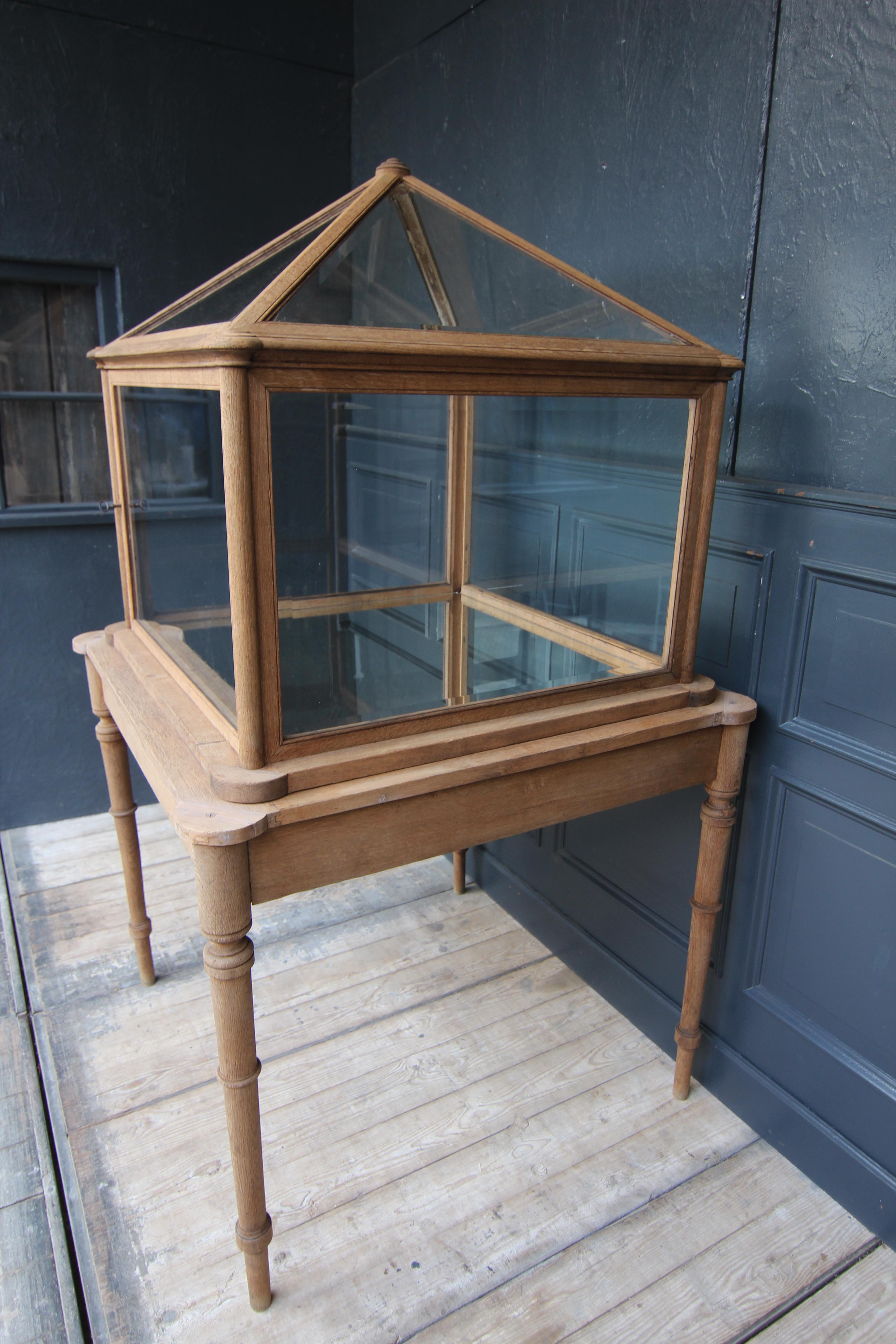 Early 20th Century Museum Showcase or Shop Display Cabinet 5