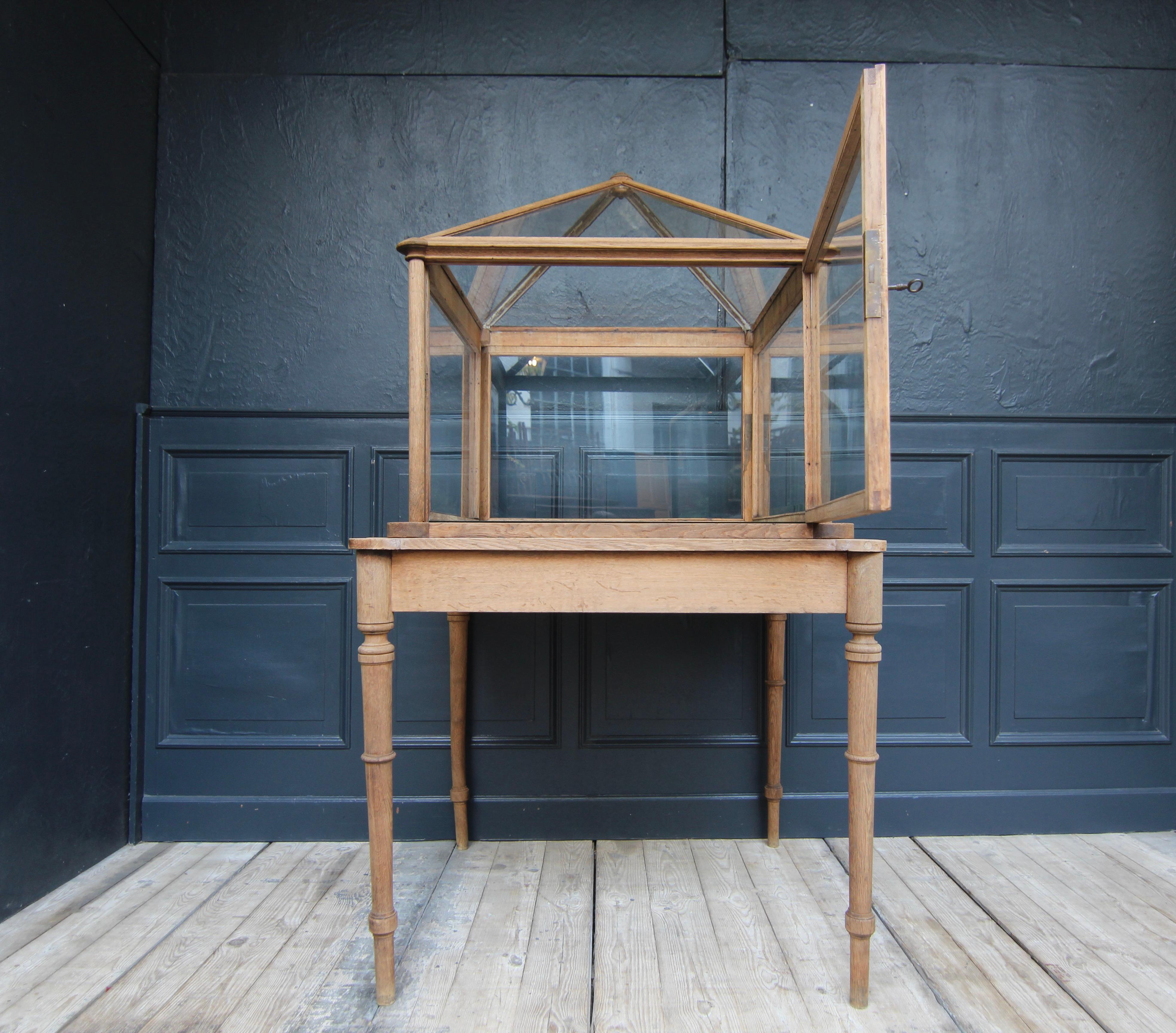Early 20th Century Museum Showcase or Shop Display Cabinet 9
