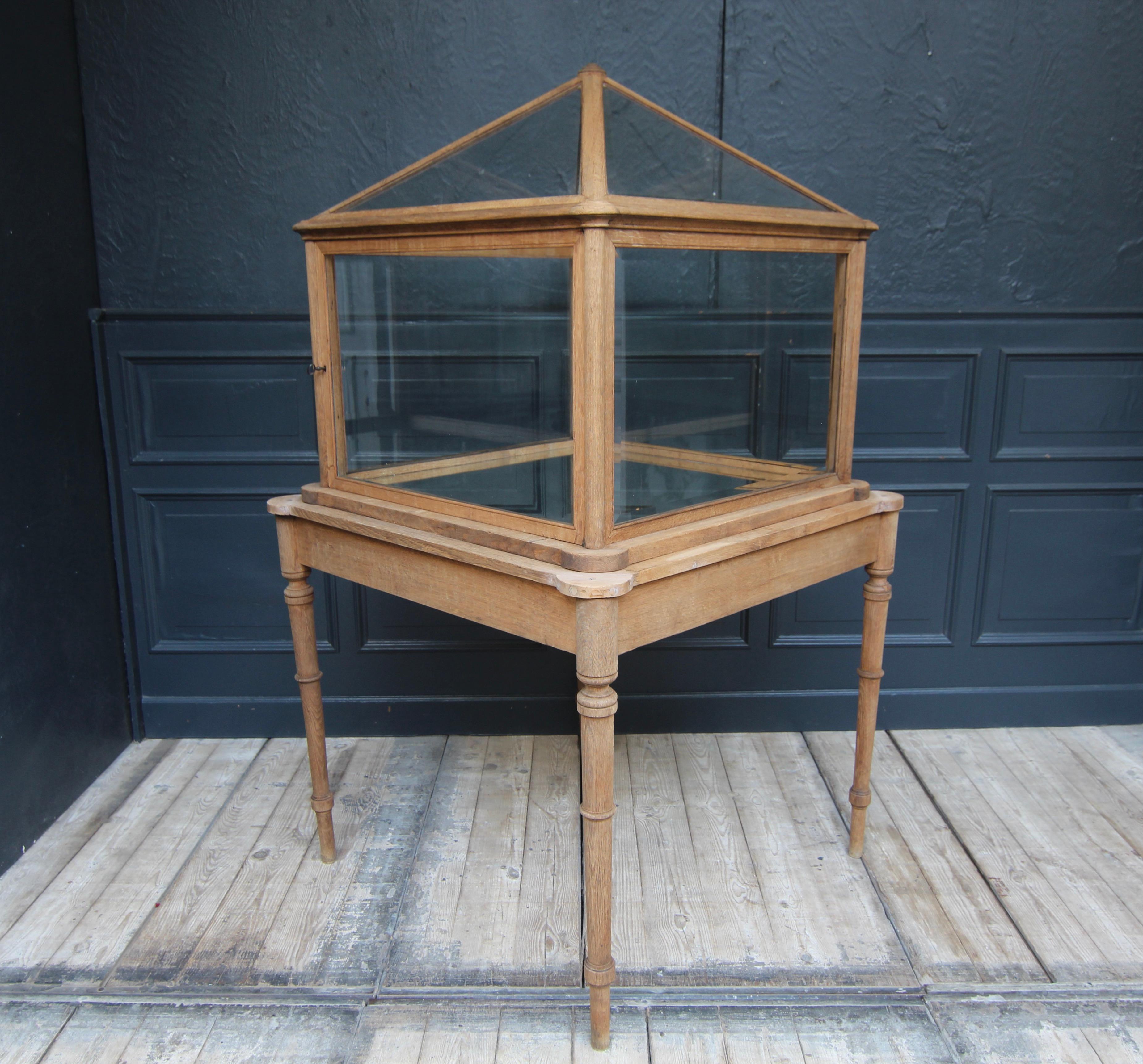 Early 20th Century Museum Showcase or Shop Display Cabinet 10