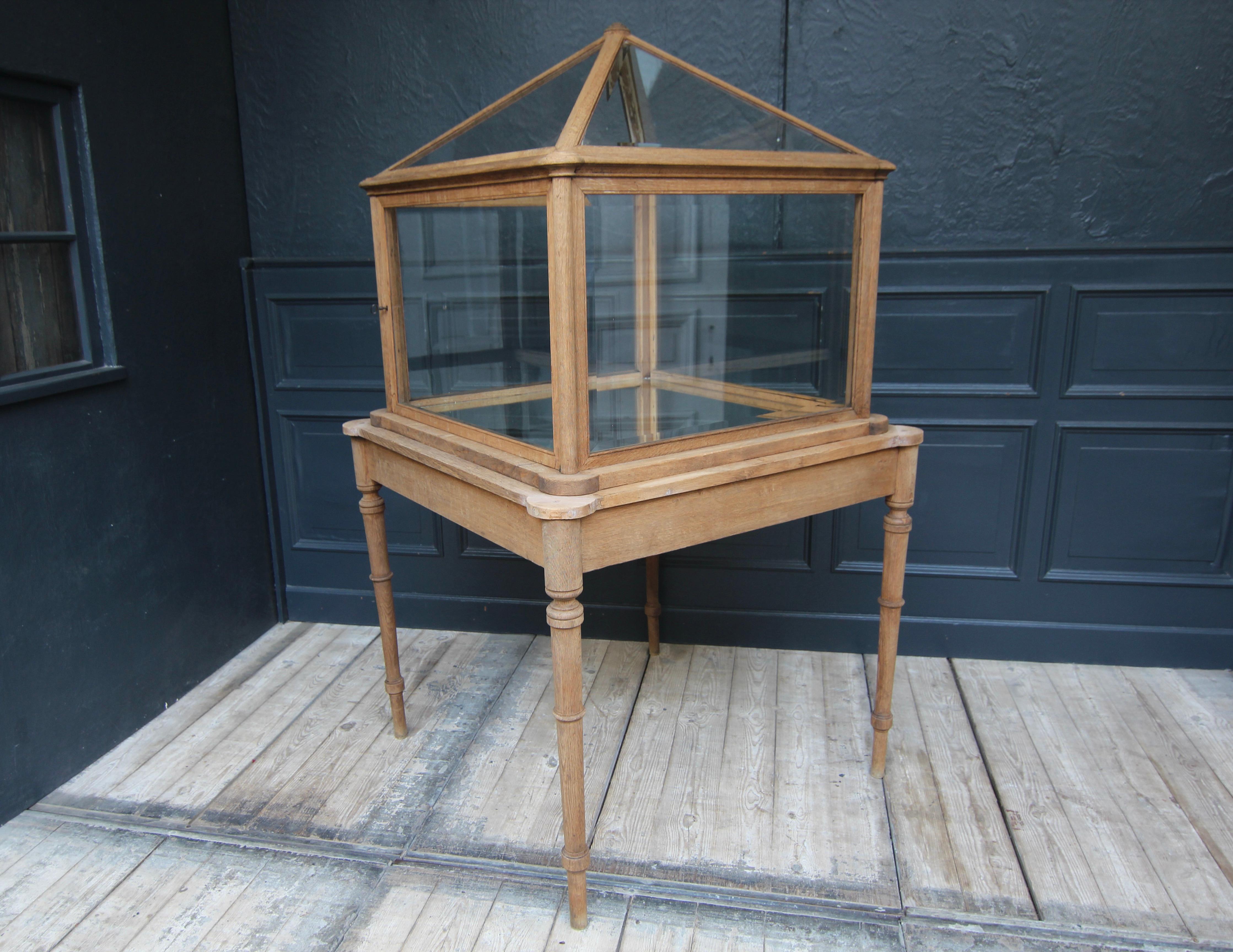 Early 20th Century Museum Showcase or Shop Display Cabinet 12
