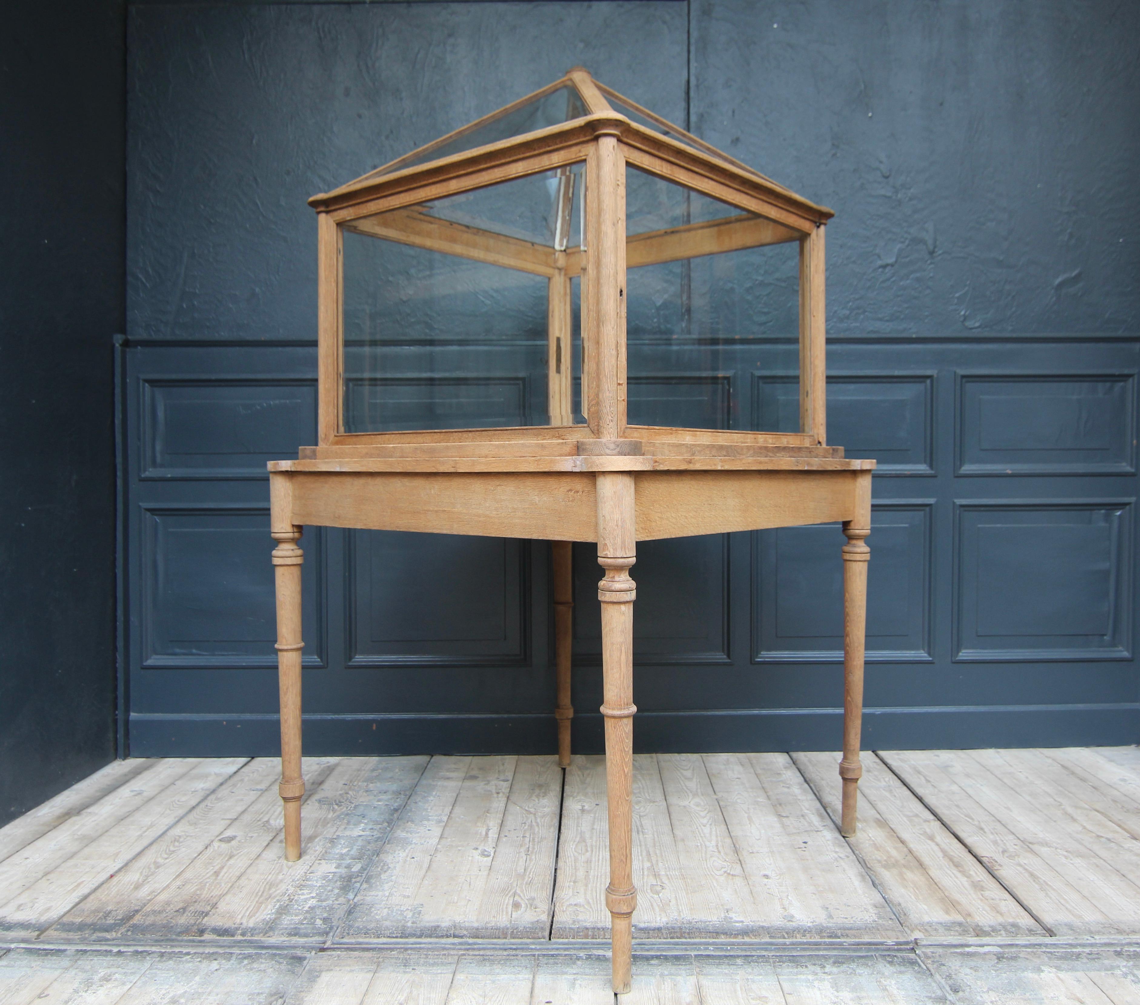 Early 20th Century Museum Showcase or Shop Display Cabinet 13