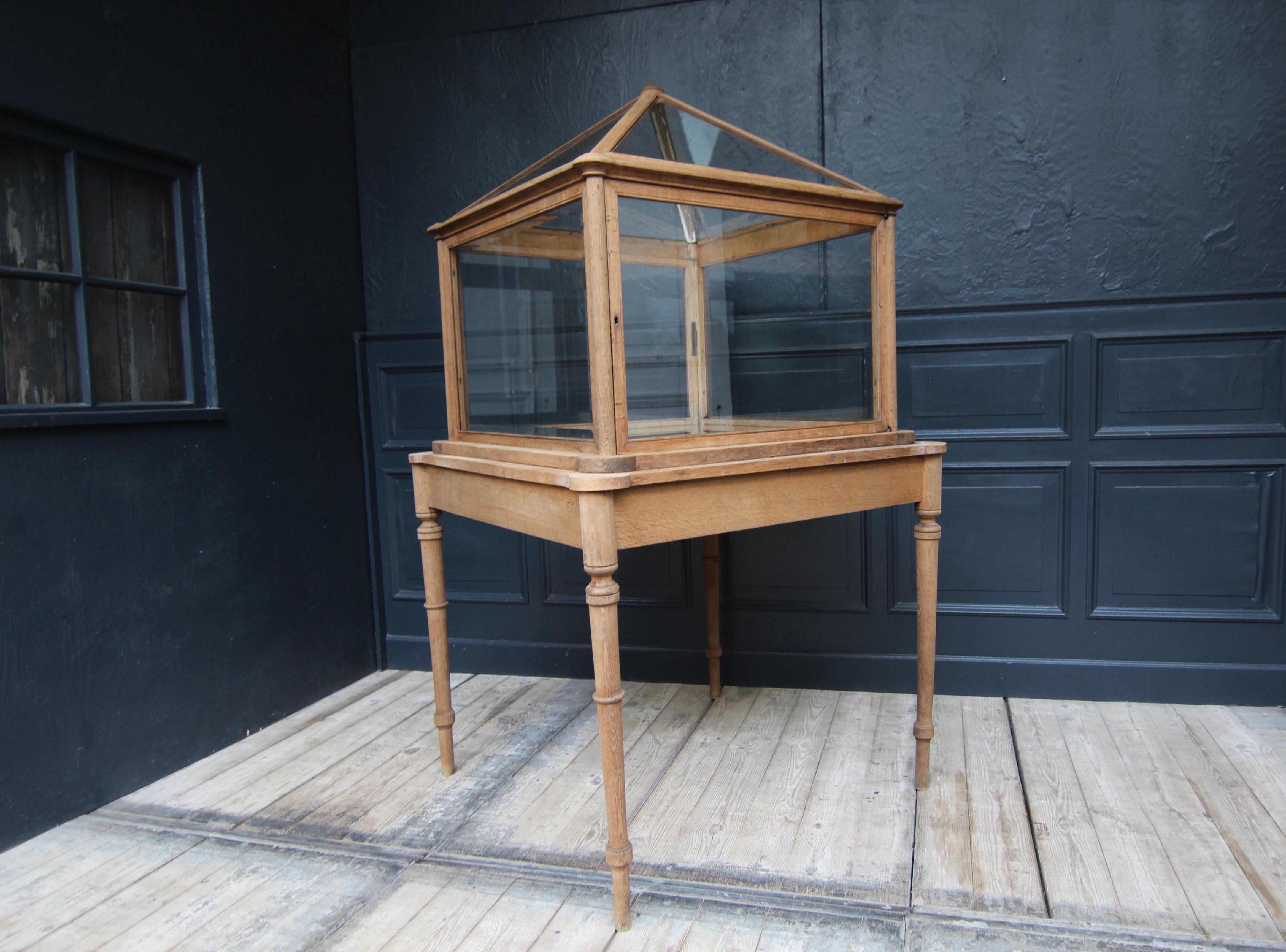Early 20th Century Museum Showcase or Shop Display Cabinet 14