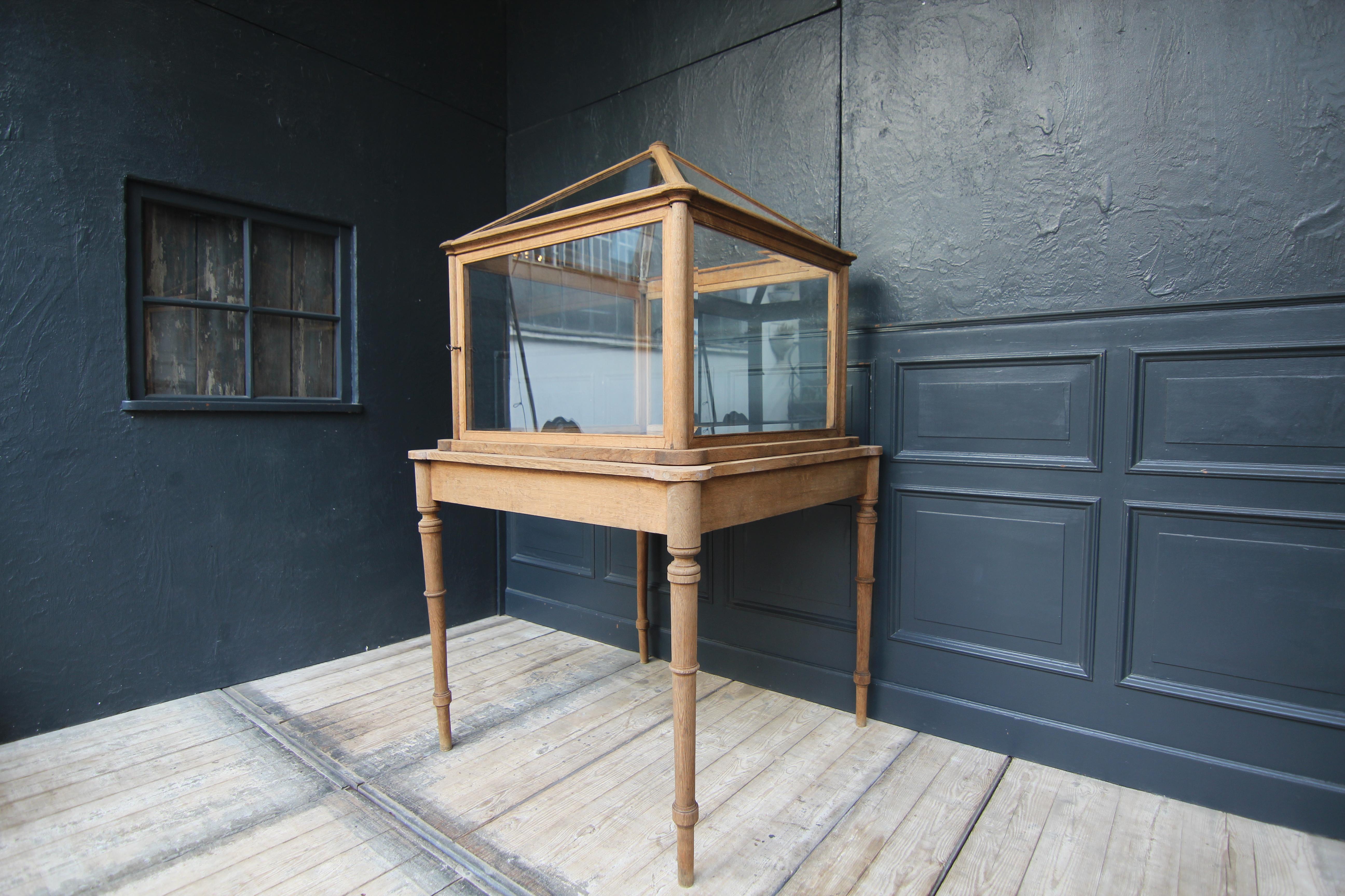 European Early 20th Century Museum Showcase or Shop Display Cabinet