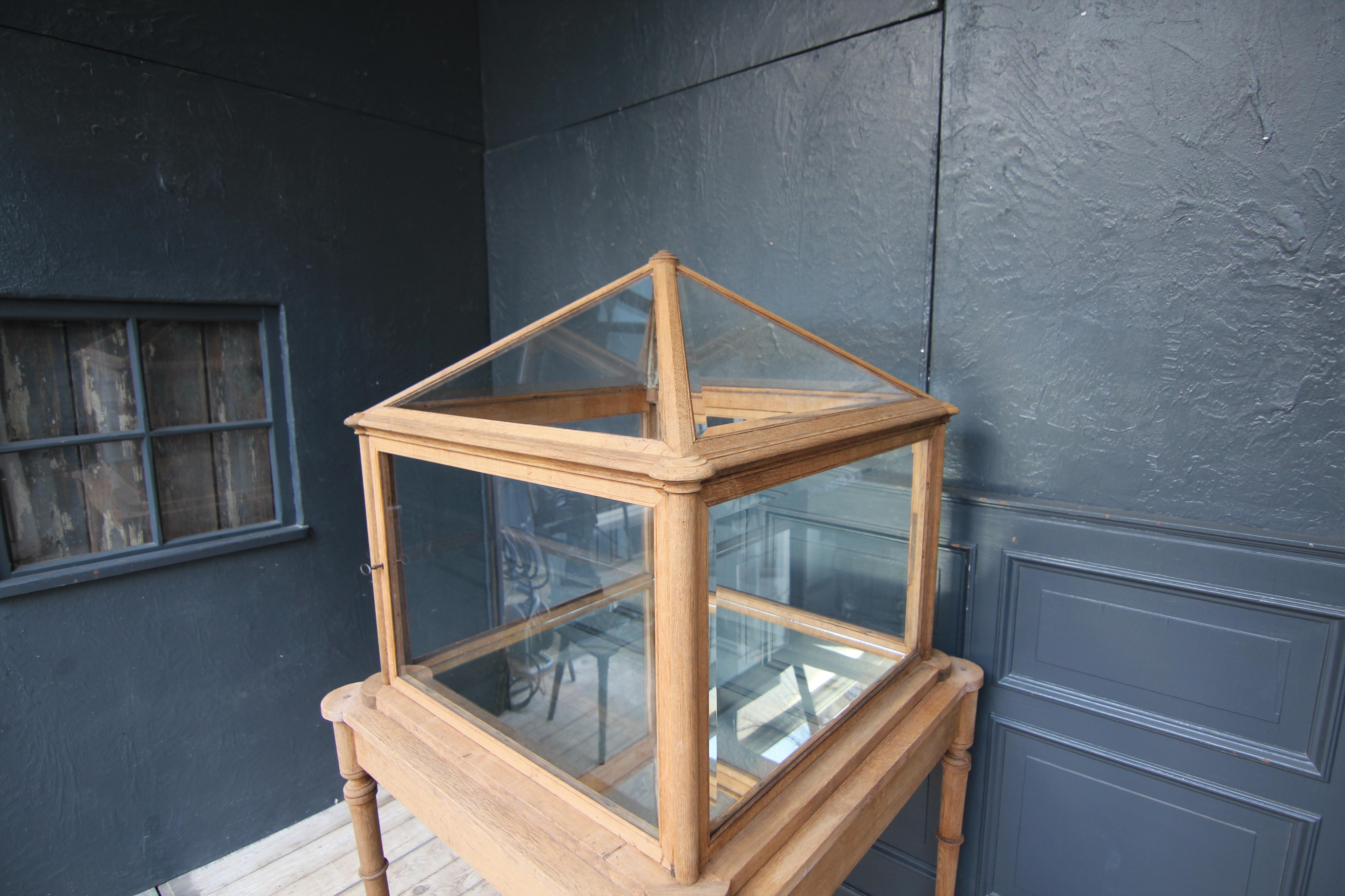 Early 20th Century Museum Showcase or Shop Display Cabinet In Good Condition In Dusseldorf, DE