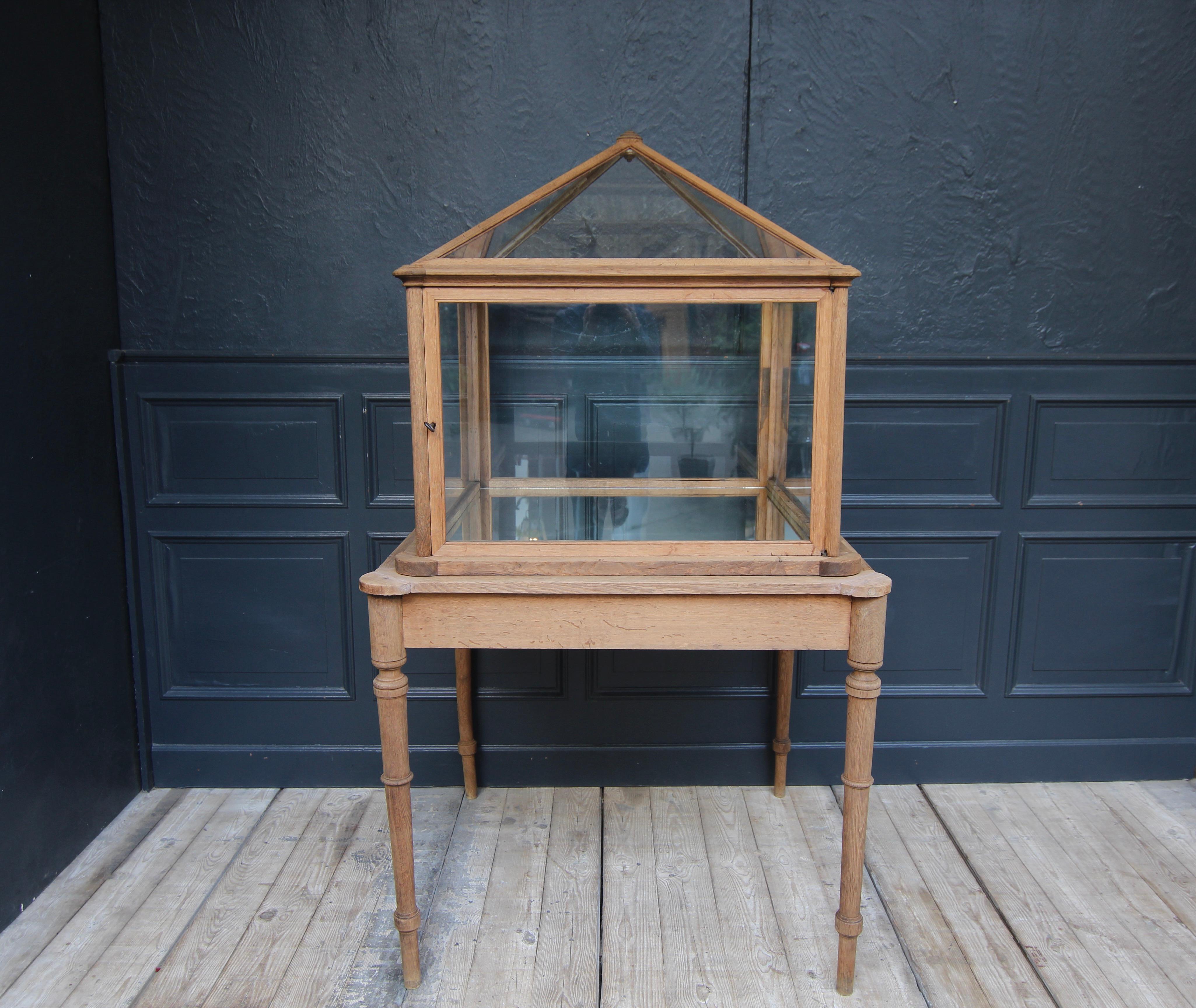 Early 20th Century Museum Showcase or Shop Display Cabinet 1