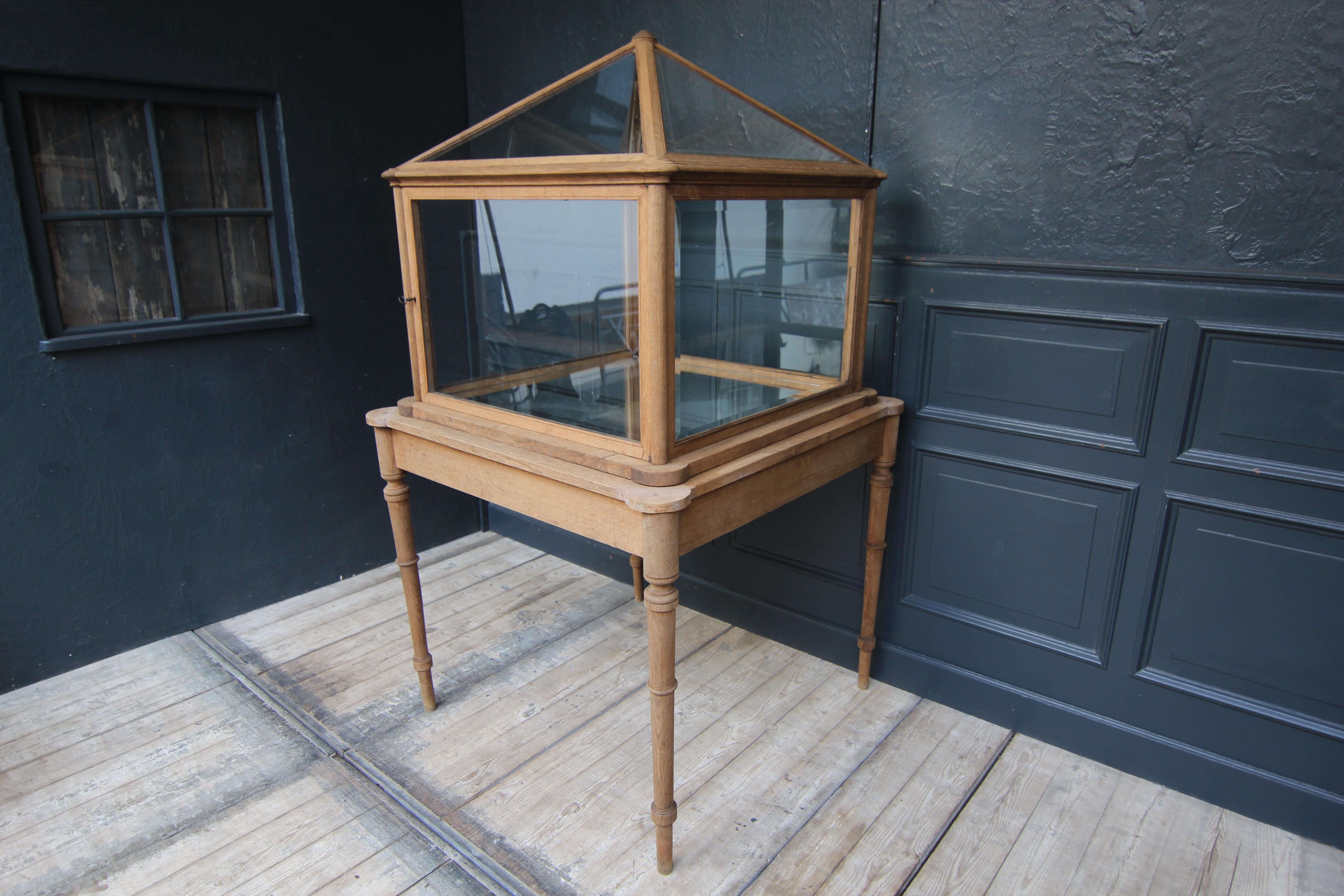 Early 20th Century Museum Showcase or Shop Display Cabinet 2