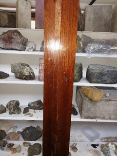 Vitrine de musée du début du XXe siècle du Musée des sciences naturelles de Barcelone