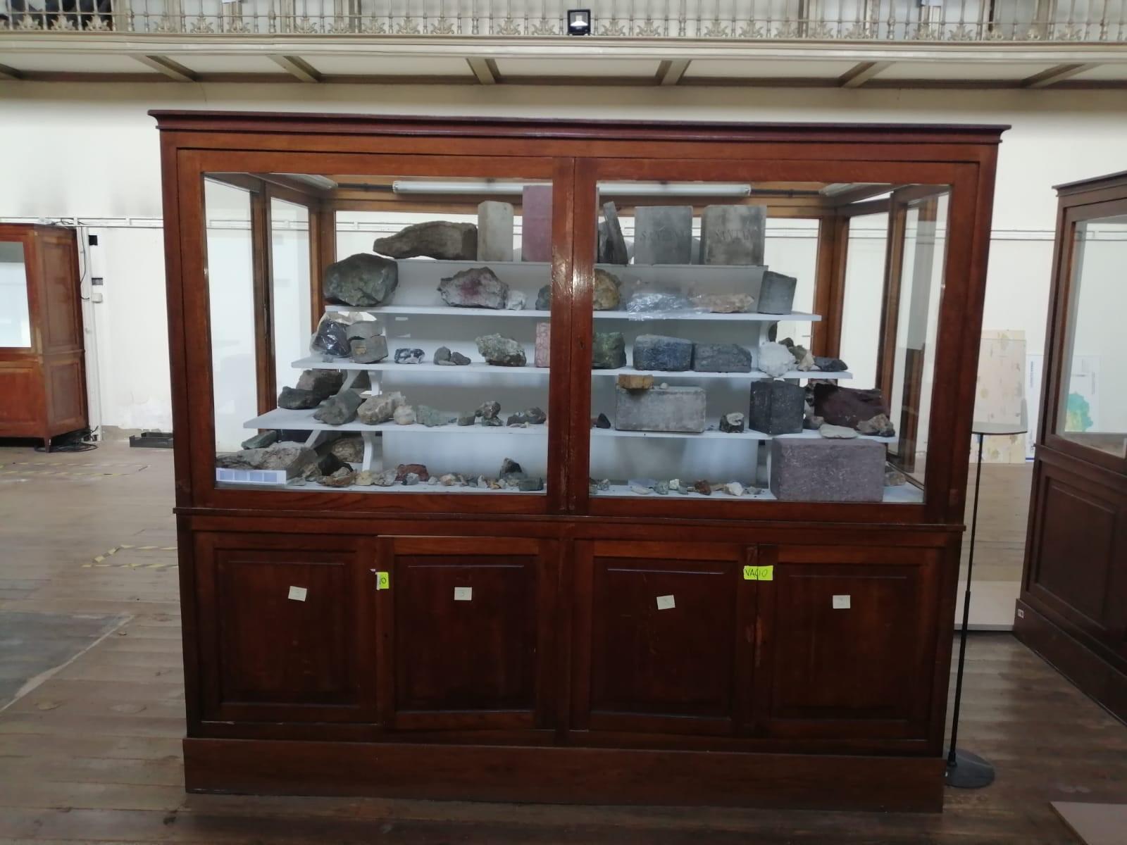 Early 20th Century Museum Vitrine from Barcelona's Natural Science Museum In Good Condition In Vulpellac, Girona