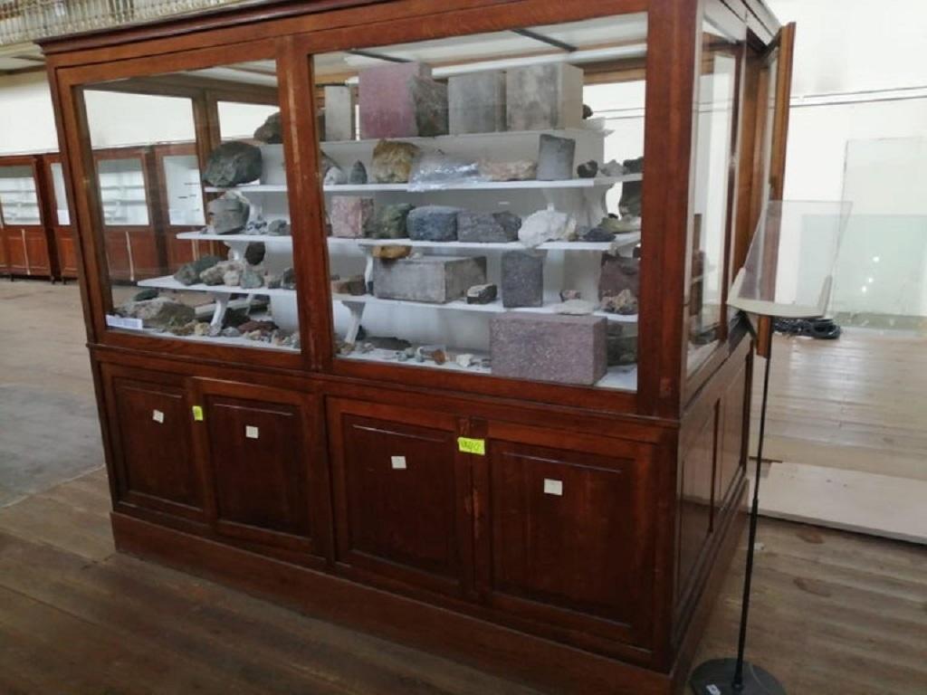 Museumsvitrine aus dem frühen 20. Jahrhundert aus dem Naturwissenschaftlichen Museum von Barcelona (Art nouveau)