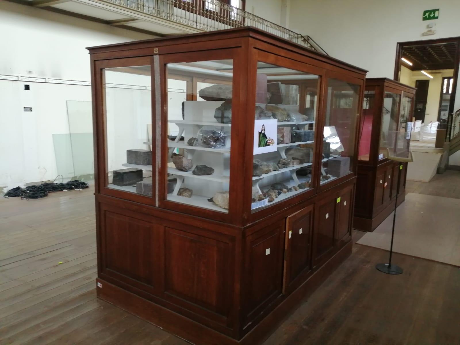 Early 20th Century Museum Vitrine from Barcelona's Natural Science Museum 1