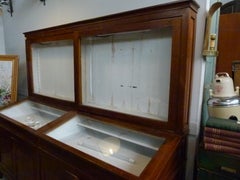 Vitrine murale d'un musée du début du XXe siècle provenant du Musée des sciences naturelles de Barcelone