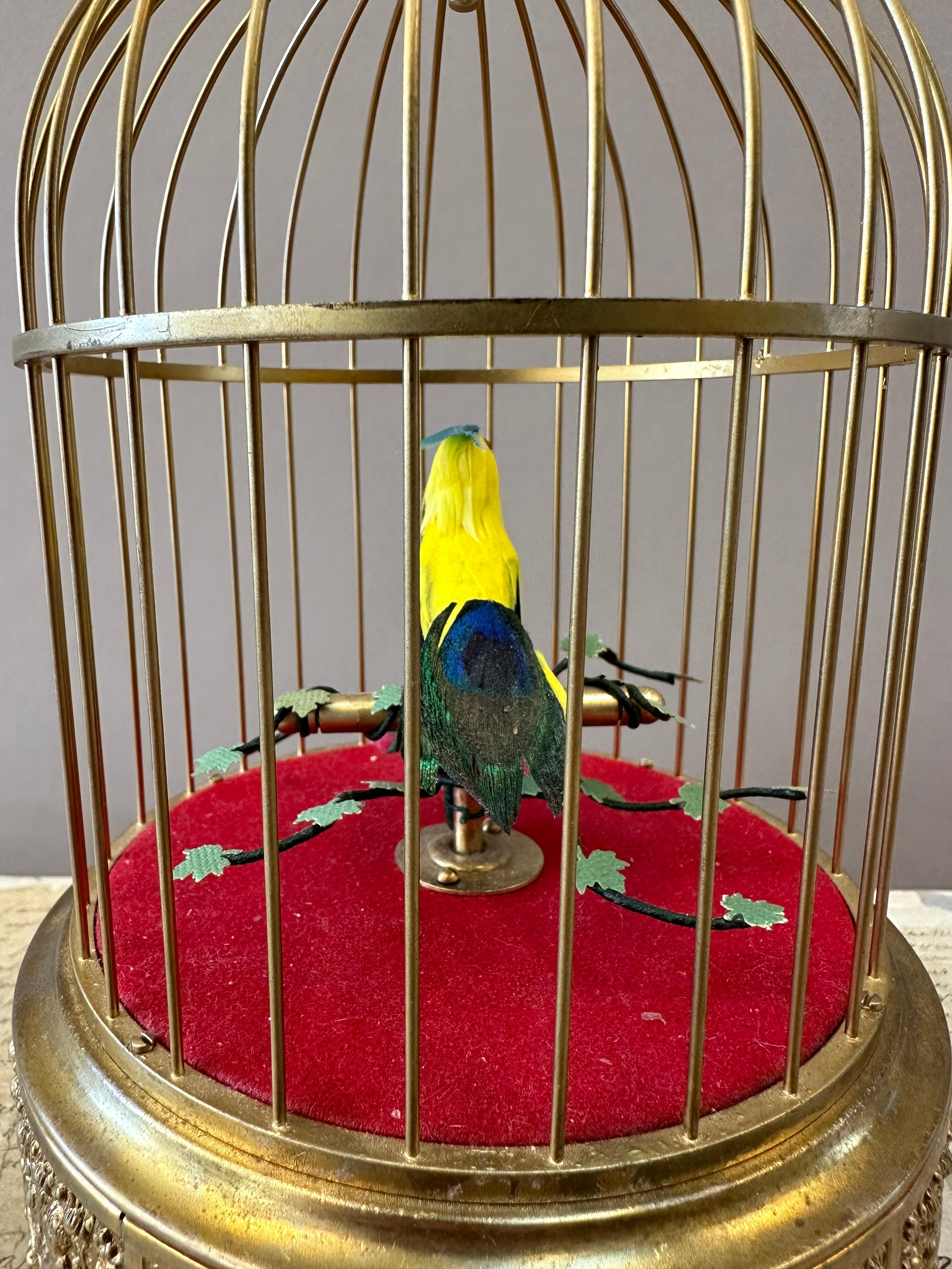 No Early Birds automate musical du début du 20e siècle. Un oiseau chanteur automatisé à la voix forte et au plumage flamboyant au milieu d'un feuillage dans une cage en laiton doré. France, vers 1930.