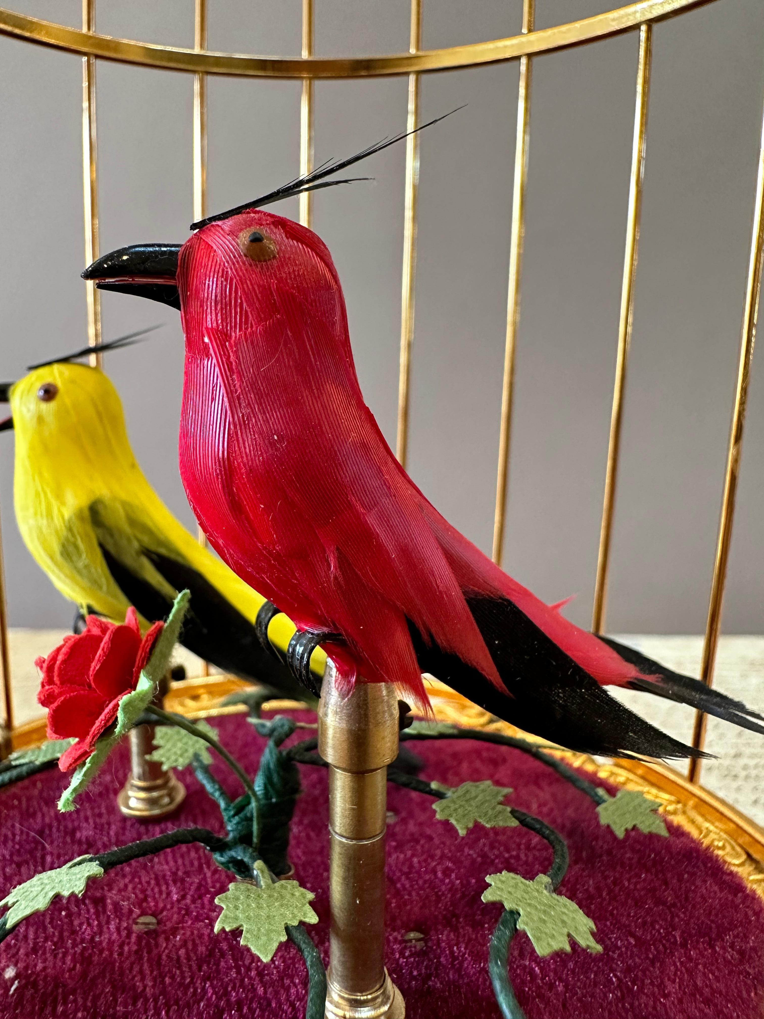 Automate à oiseaux musicaux du début du 20e siècle. Deux oiseaux chanteurs automatisés aux voix puissantes au milieu de feuillages dans une cage en laiton doré de style 