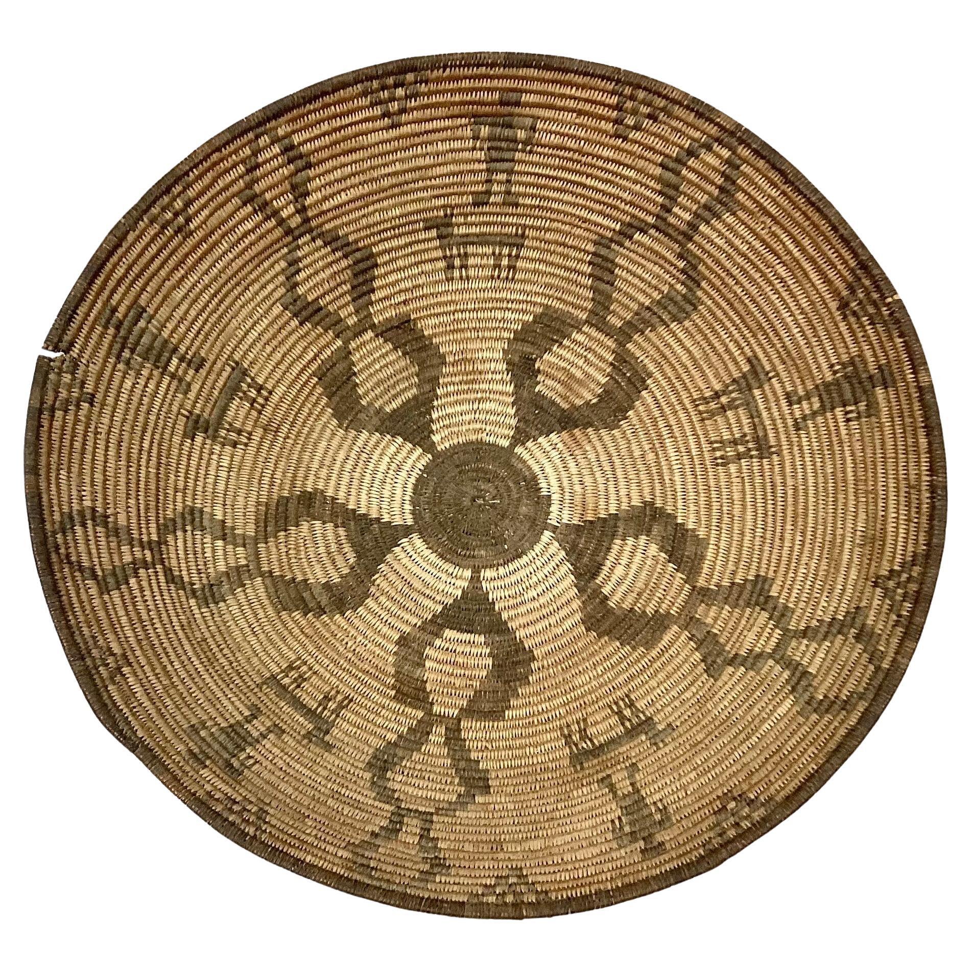 Large Native American Indian Apache coil basket. Basket makers used a coil technique and wrap with strands of willow or devil's claw (black). The basket is shallow, diameter is 18.5