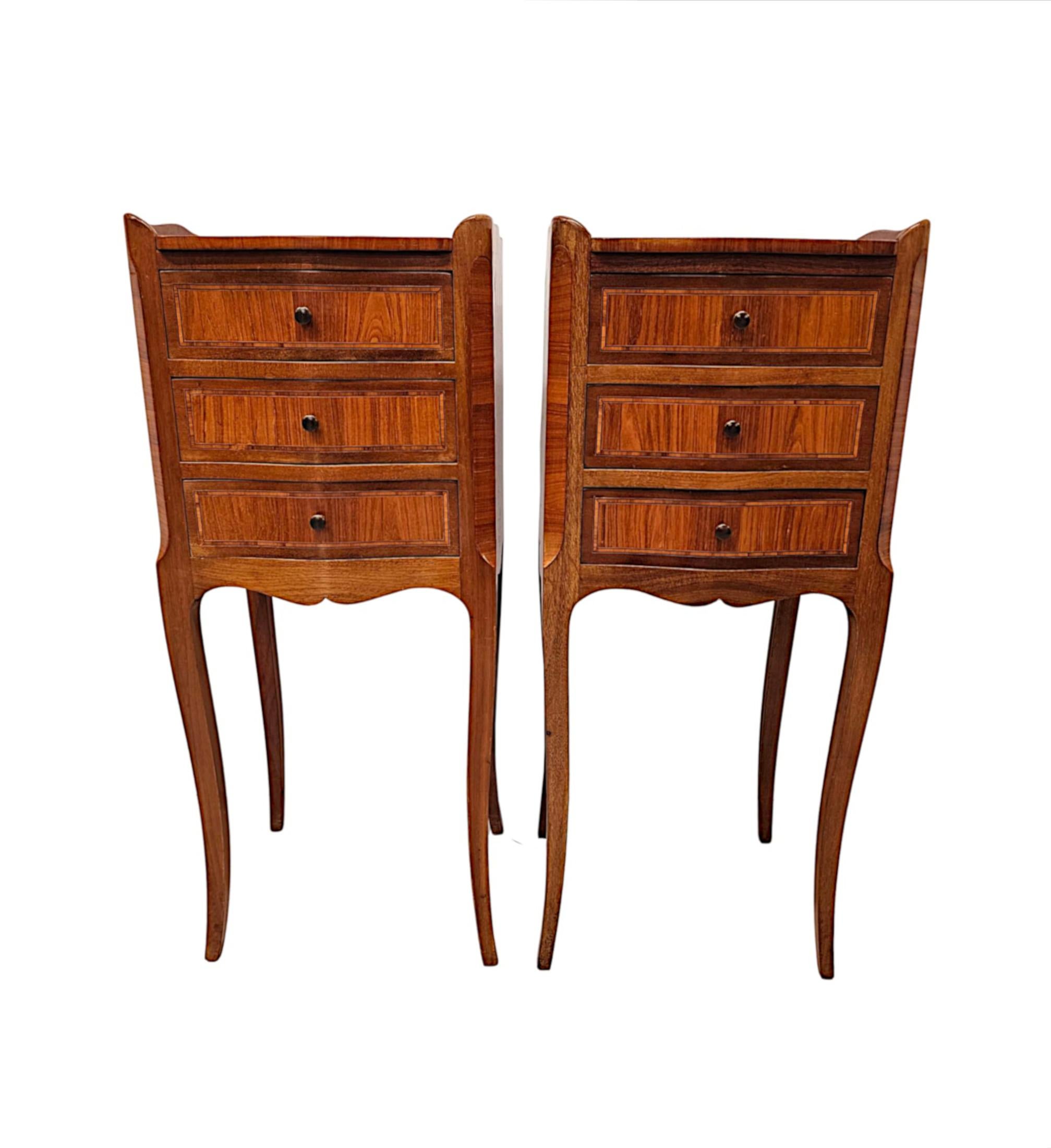 Early 20th Century Neat Size Pair of  Bedside Chests In Good Condition For Sale In Dublin, IE