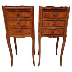 Early 20th Century Neat Size Pair of  Bedside Chests