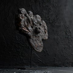 Early 20th century Nepalese fungus mask