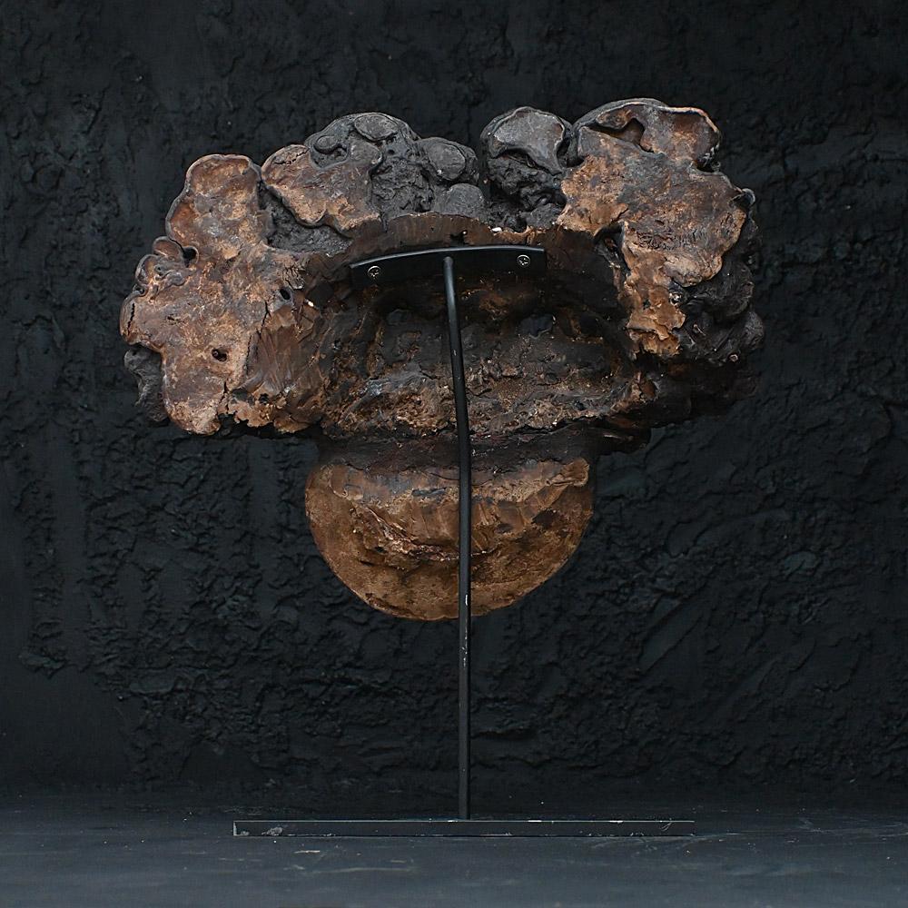 Début du 20ème siècle Masque à champignon népalais du début du 20e siècle en vente