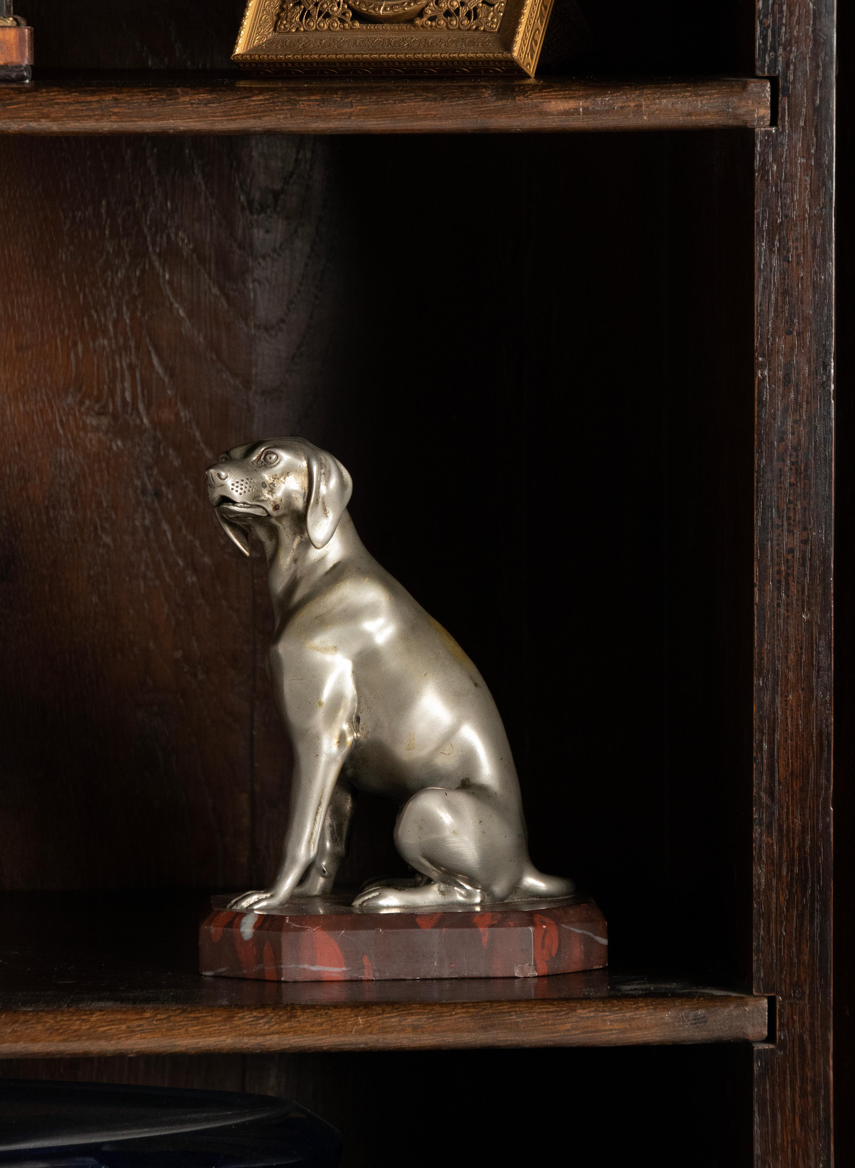 Early 20th Century, Nickel-Plated Spelter Sculpture Dog In Good Condition For Sale In Casteren, Noord-Brabant