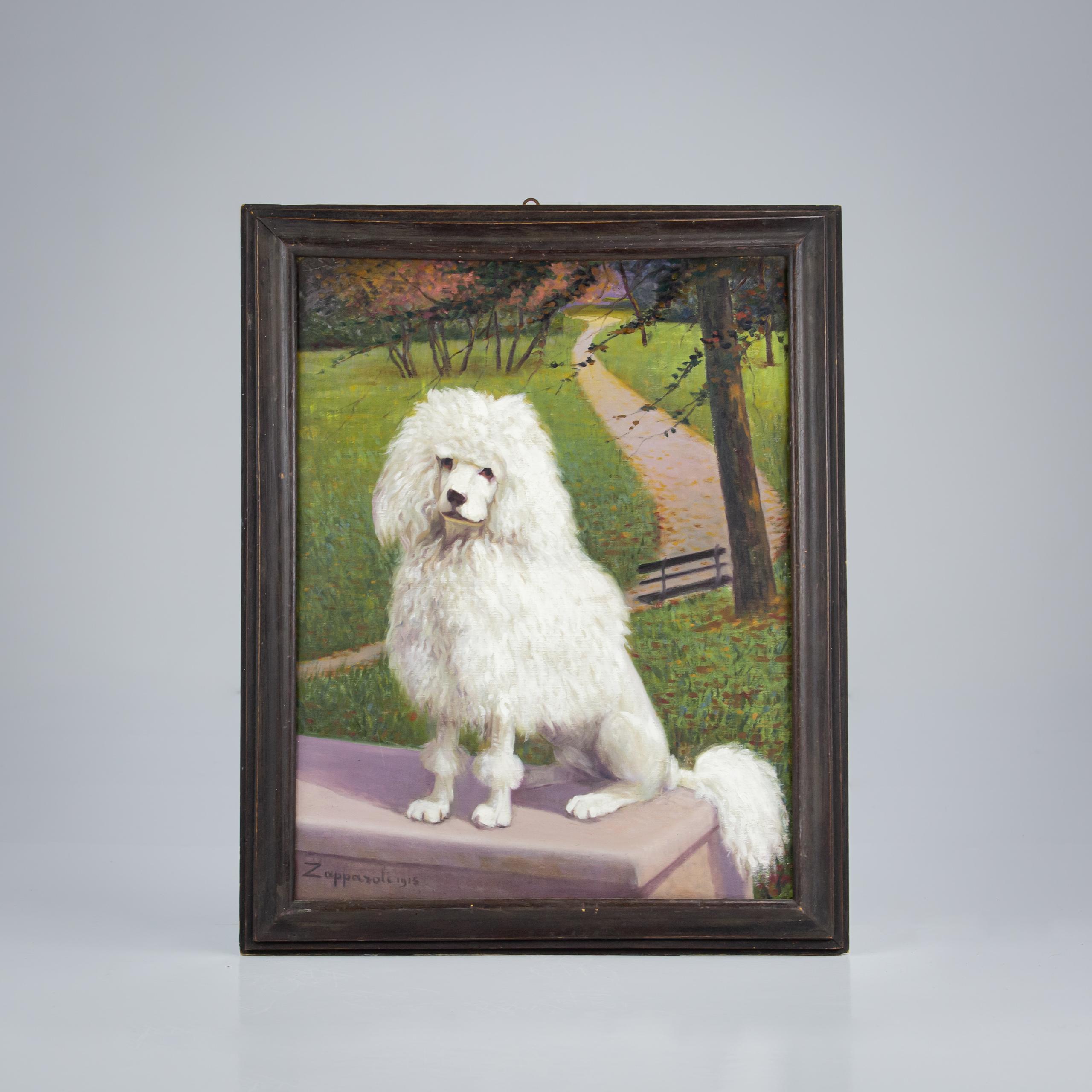 Début du 20e siècle Portrait d'un caniche blanc. Huile sur toile et trouvée dans le cadre d'origine. Restauré et récemment nettoyé. Italie, Circa 1915 Signé Zaparolli 1915.