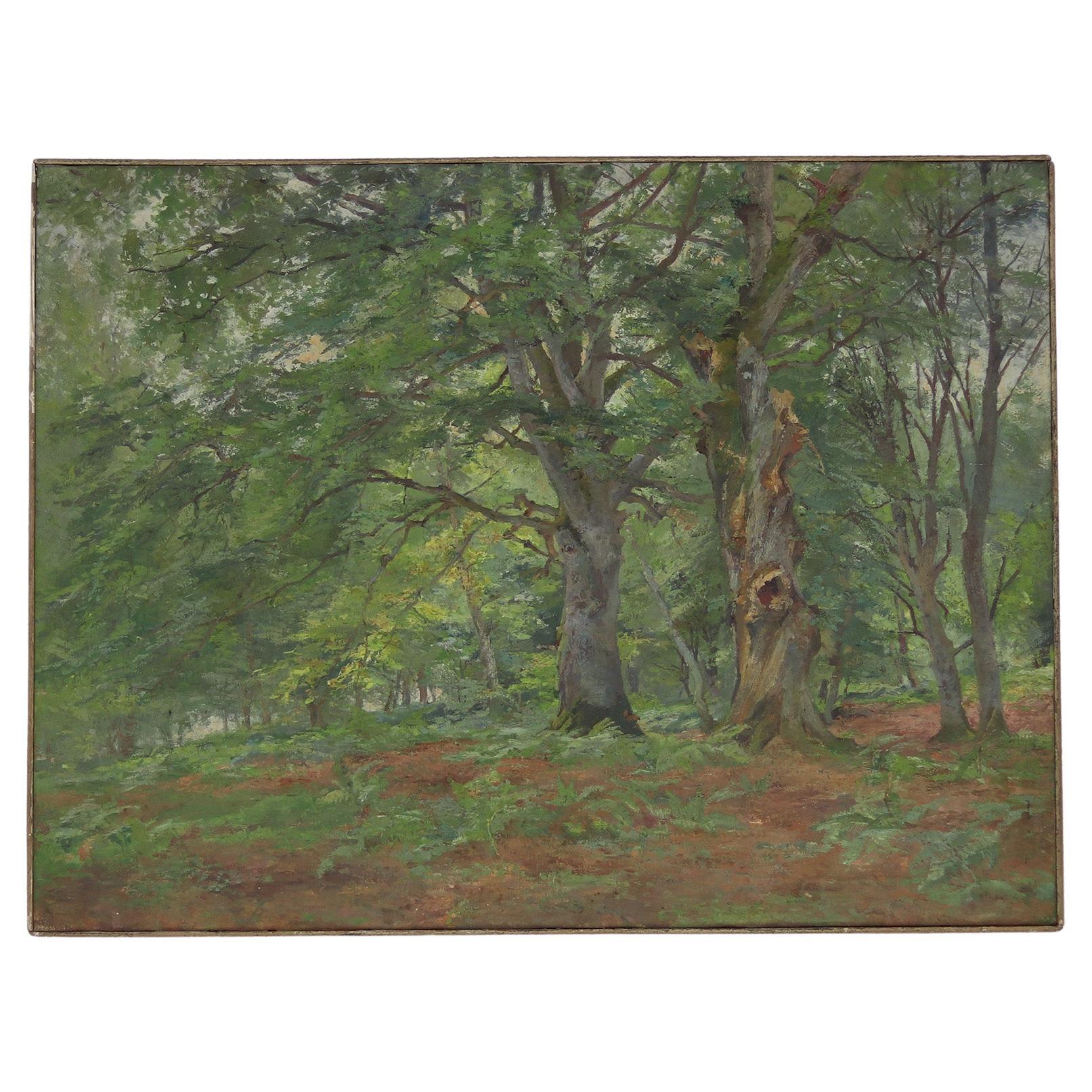 Early 20th Century Oil on Canvas Painting Evergreen Forest Countryside im Angebot