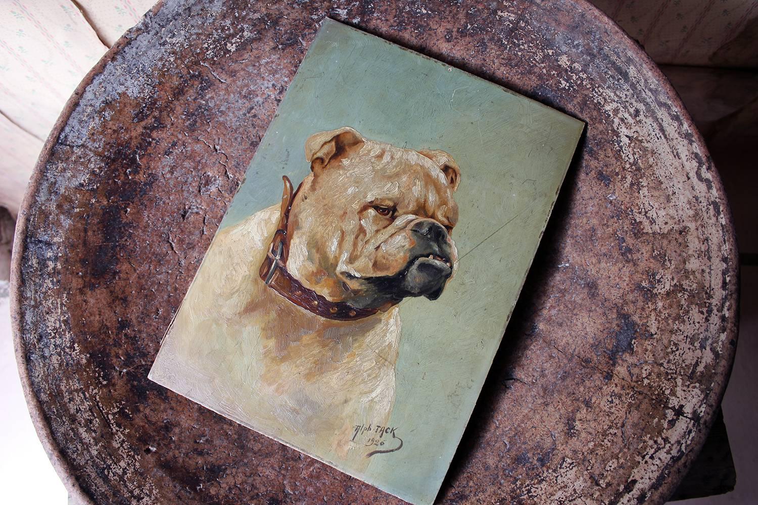 Early 20th Century Oil on Panel Study of an English Bulldog, Alph Jack, 1926 10