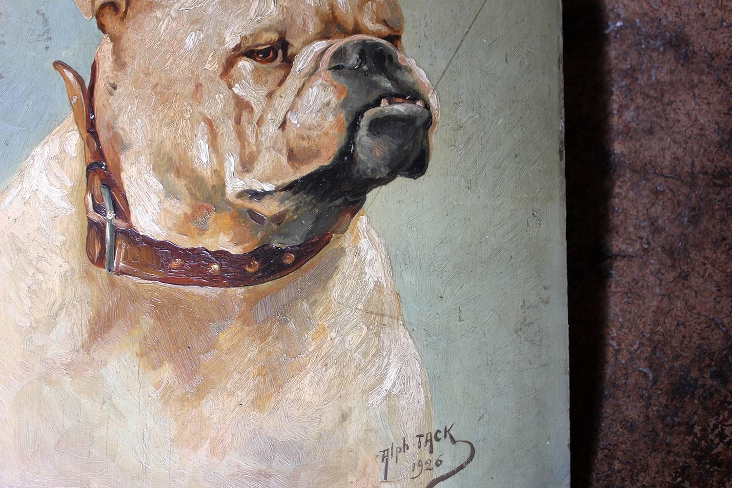 The very charming early twentieth century impasto oil on panel, depicting an English Bulldog appearing attentive, with brown leather collar set against a sea green coloured ground, the whole presented unframed and signed lower right Alph Jack