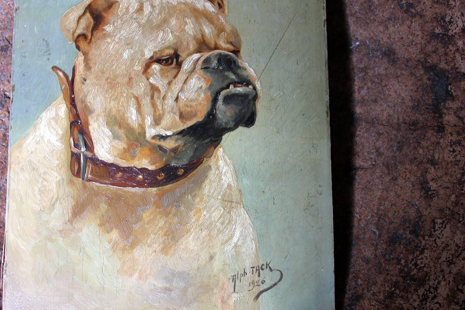Hand-Painted Early 20th Century Oil on Panel Study of an English Bulldog, Alph Jack, 1926