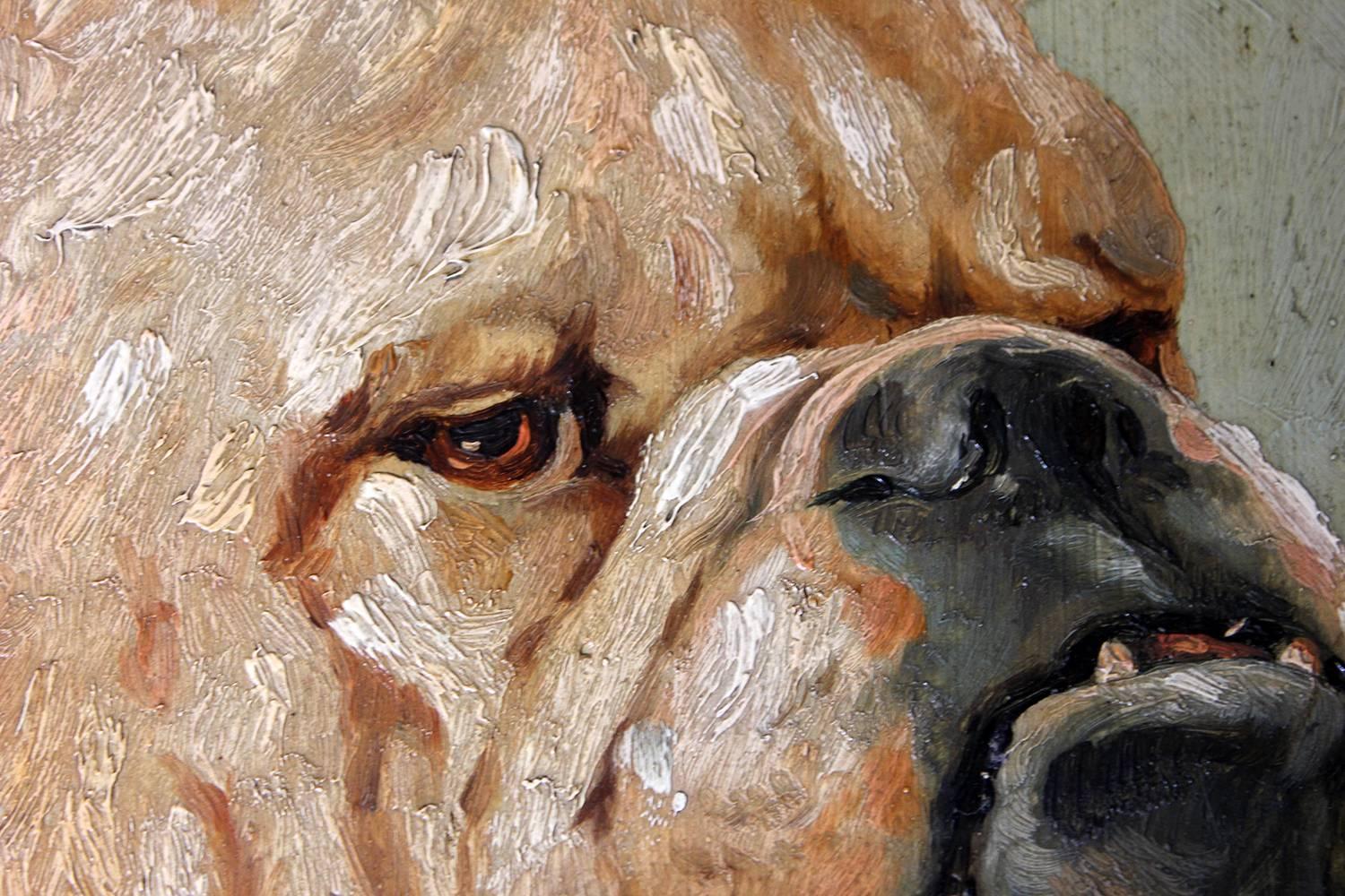 Early 20th Century Oil on Panel Study of an English Bulldog, Alph Jack, 1926 In Good Condition In Bedford, Bedfordshire