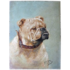 Antique Early 20th Century Oil on Panel Study of an English Bulldog, Alph Jack, 1926