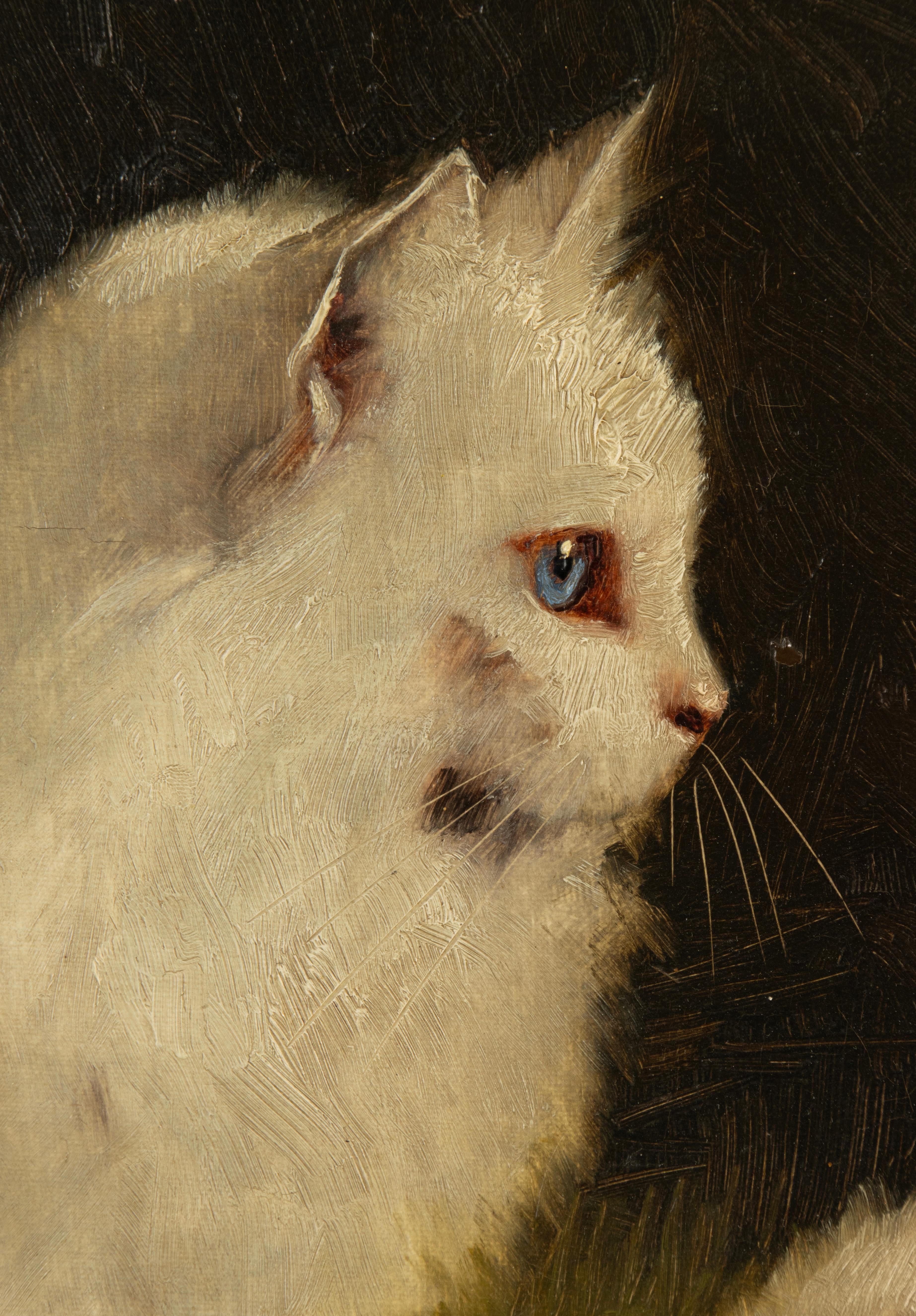 Early 20th Century Oil Painting - Angora Cats - by Benö Boleradszky 6