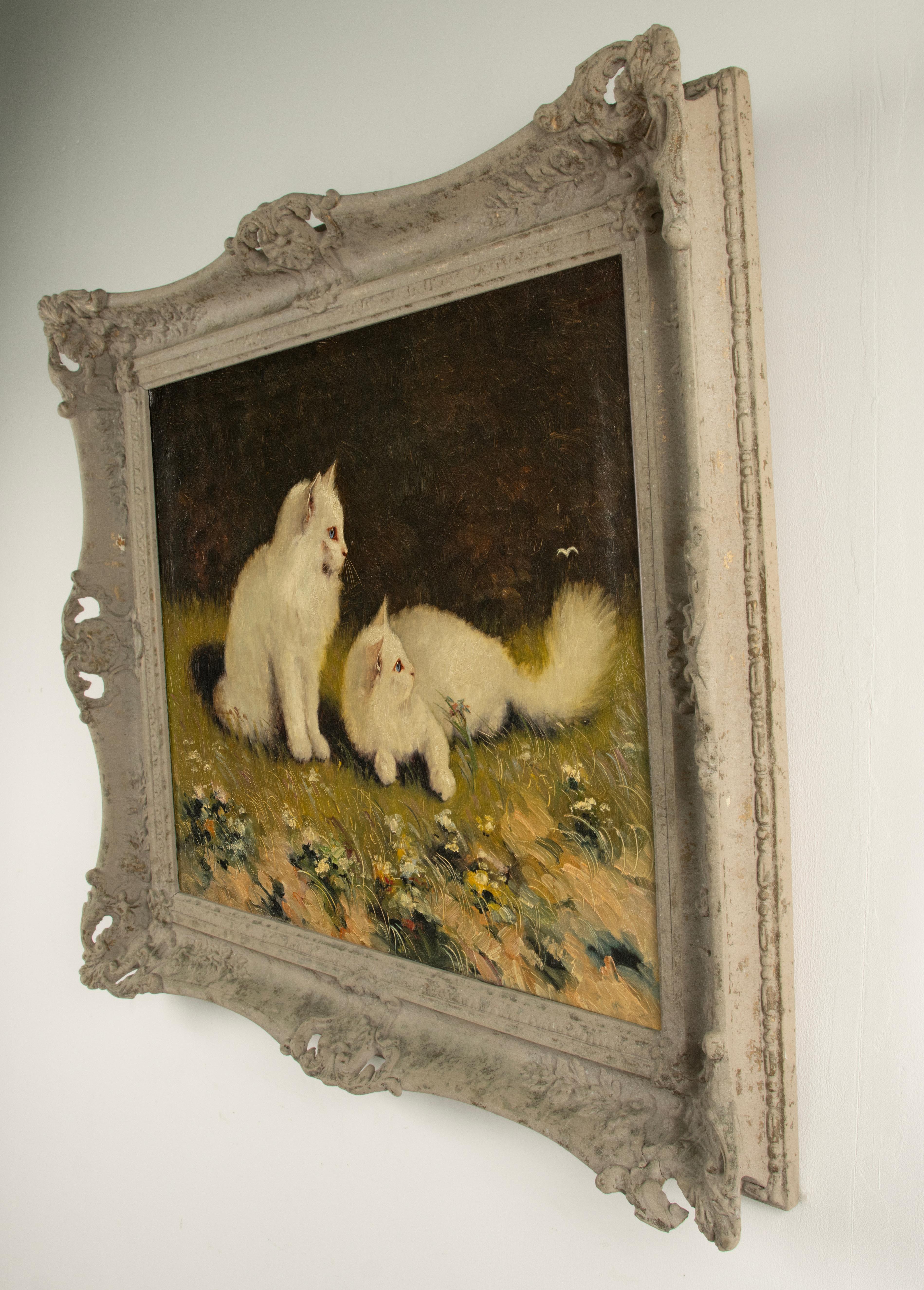 Early 20th Century Oil Painting - Angora Cats - by Benö Boleradszky 9