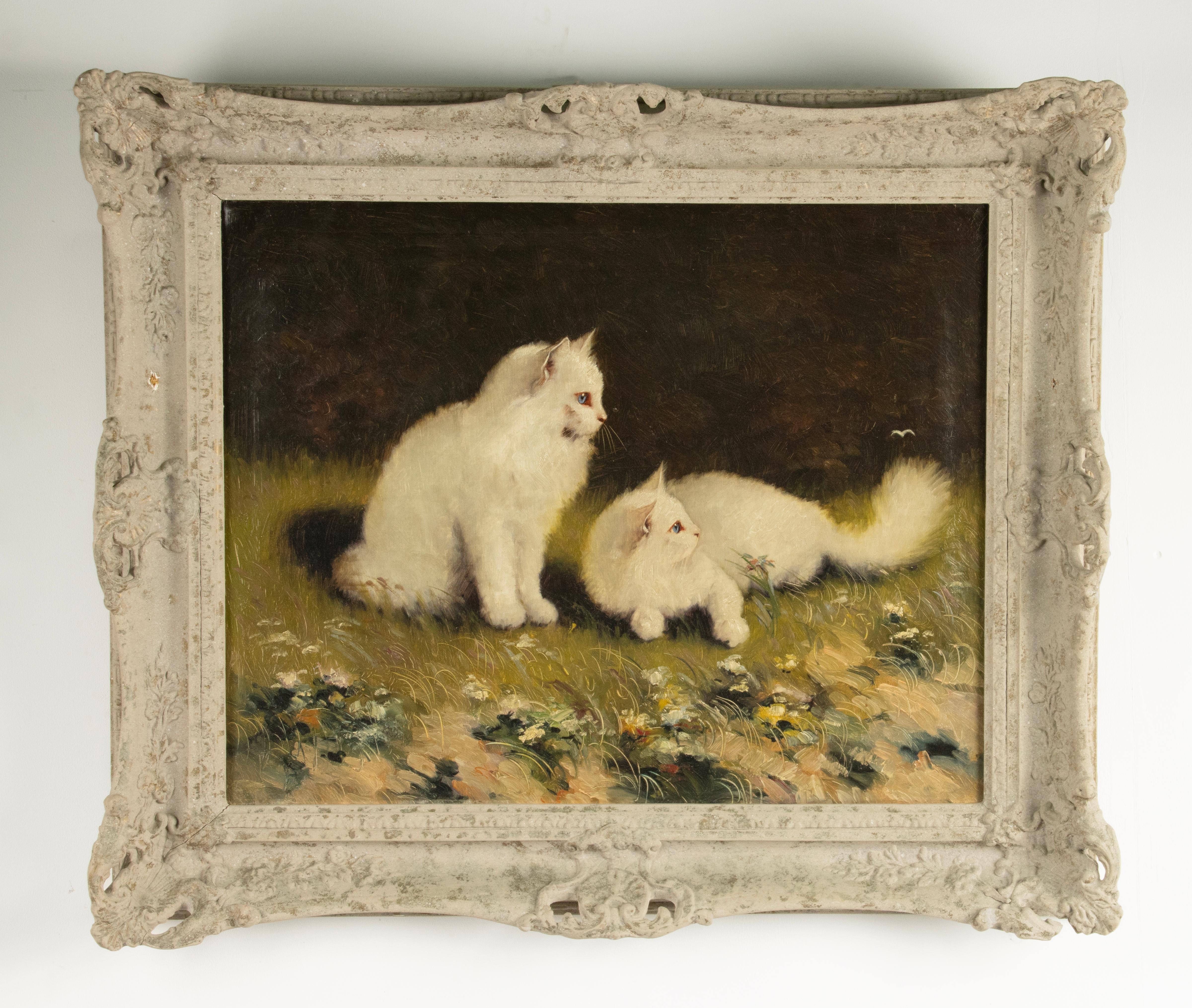 Hungarian Early 20th Century Oil Painting - Angora Cats - by Benö Boleradszky