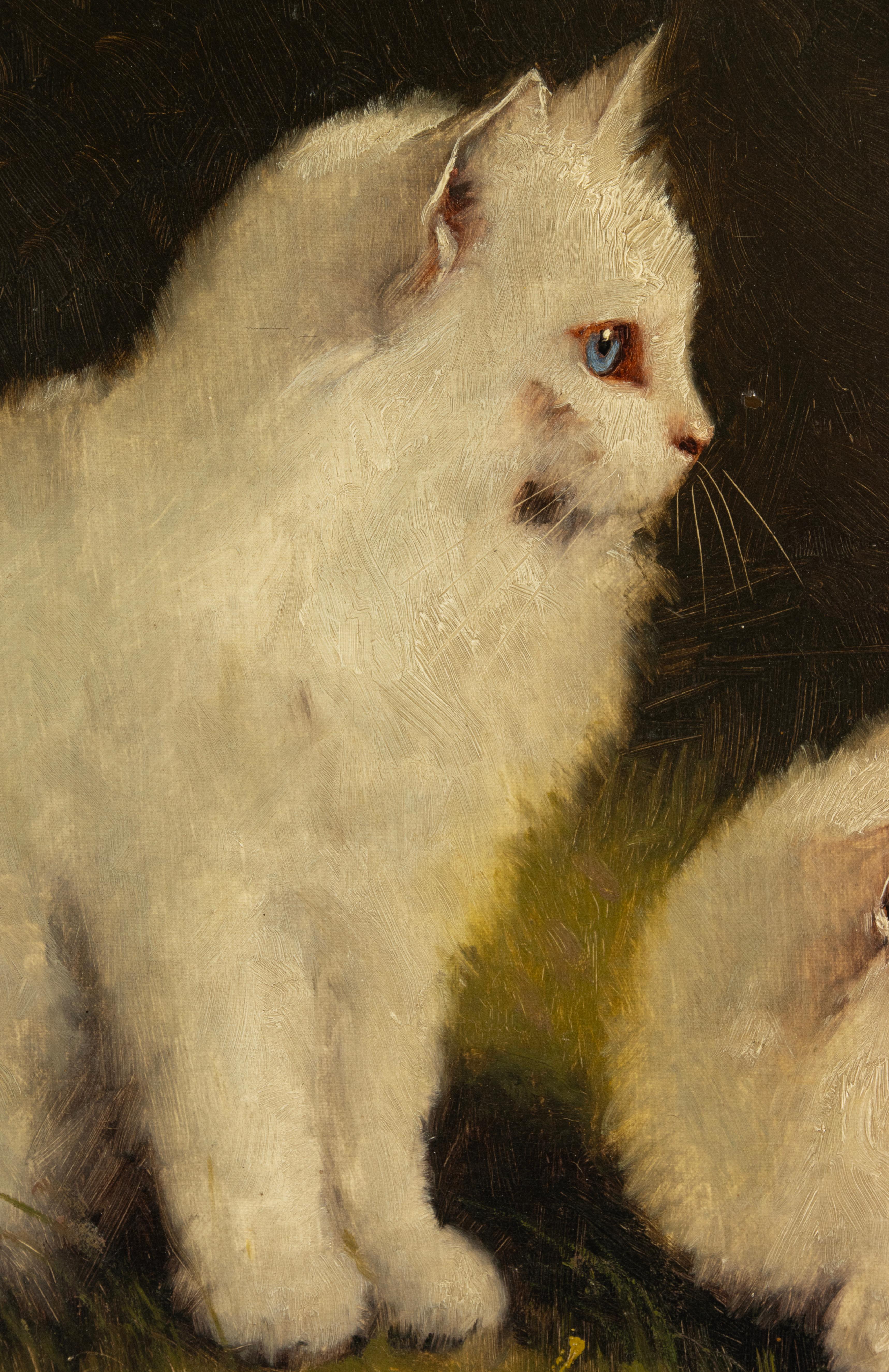 Early 20th Century Oil Painting - Angora Cats - by Benö Boleradszky 1