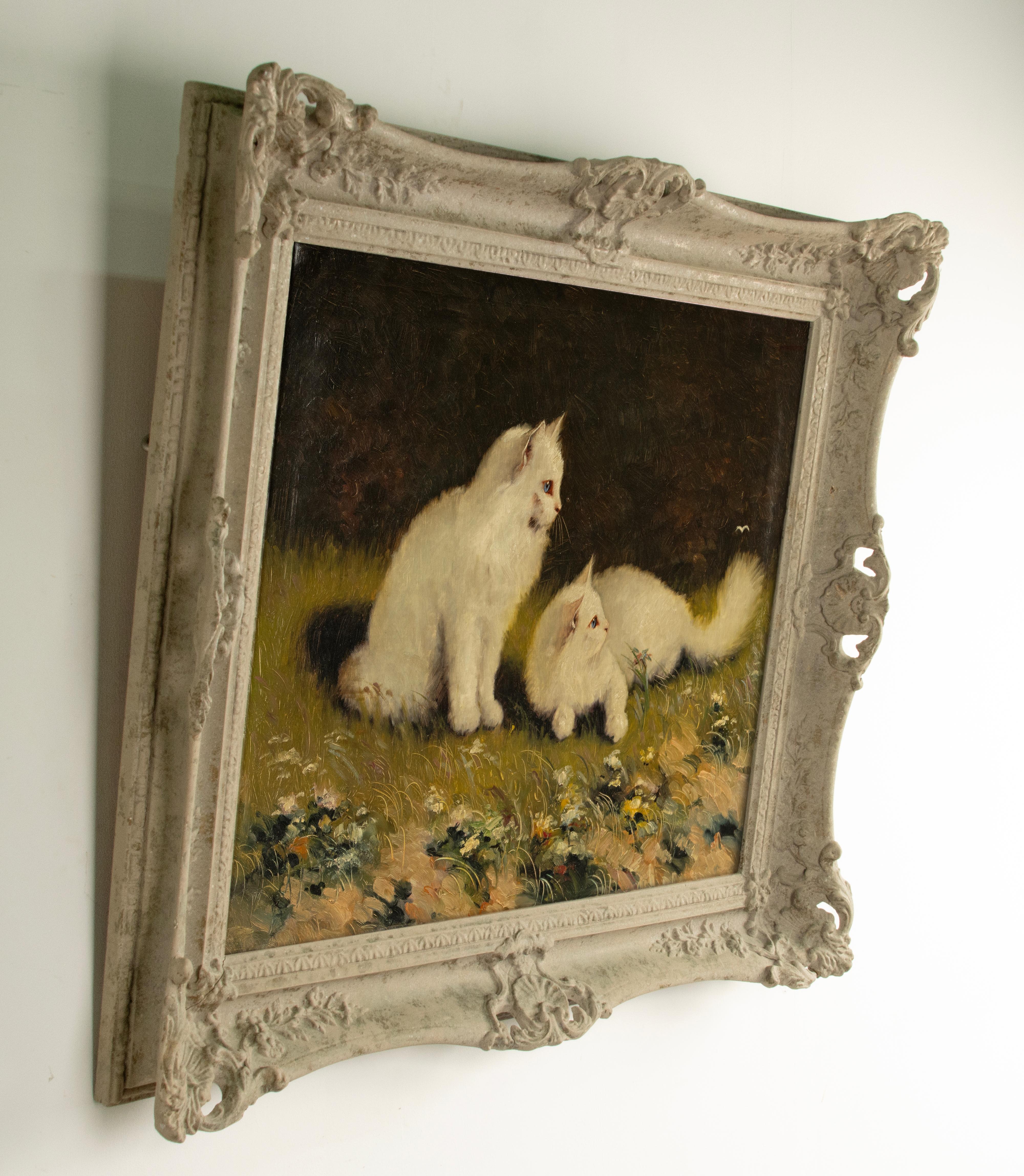 Early 20th Century Oil Painting - Angora Cats - by Benö Boleradszky 3