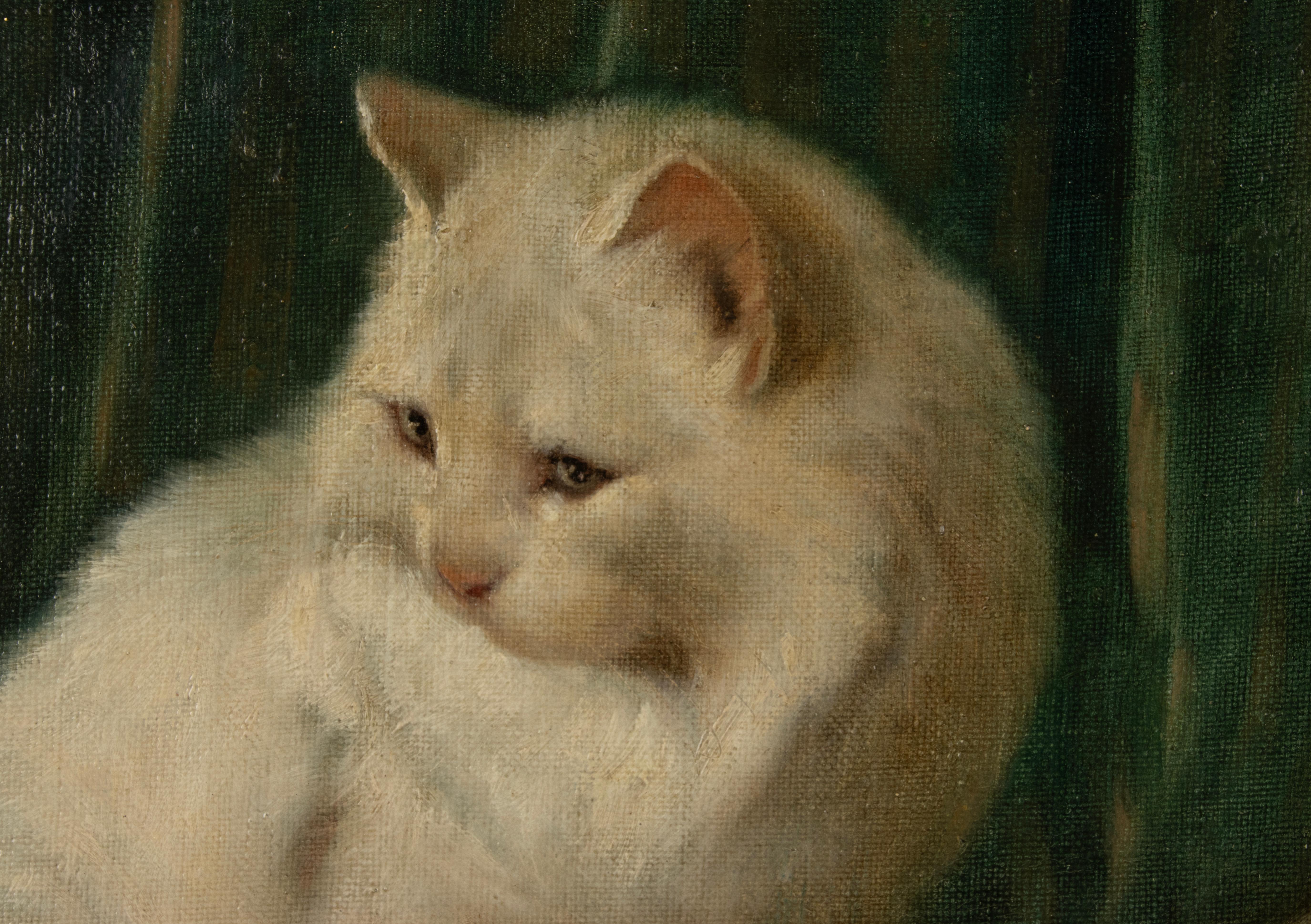 Early 20th Century Oil Painting - Angora Cats Playing - Arthur Heyer 5