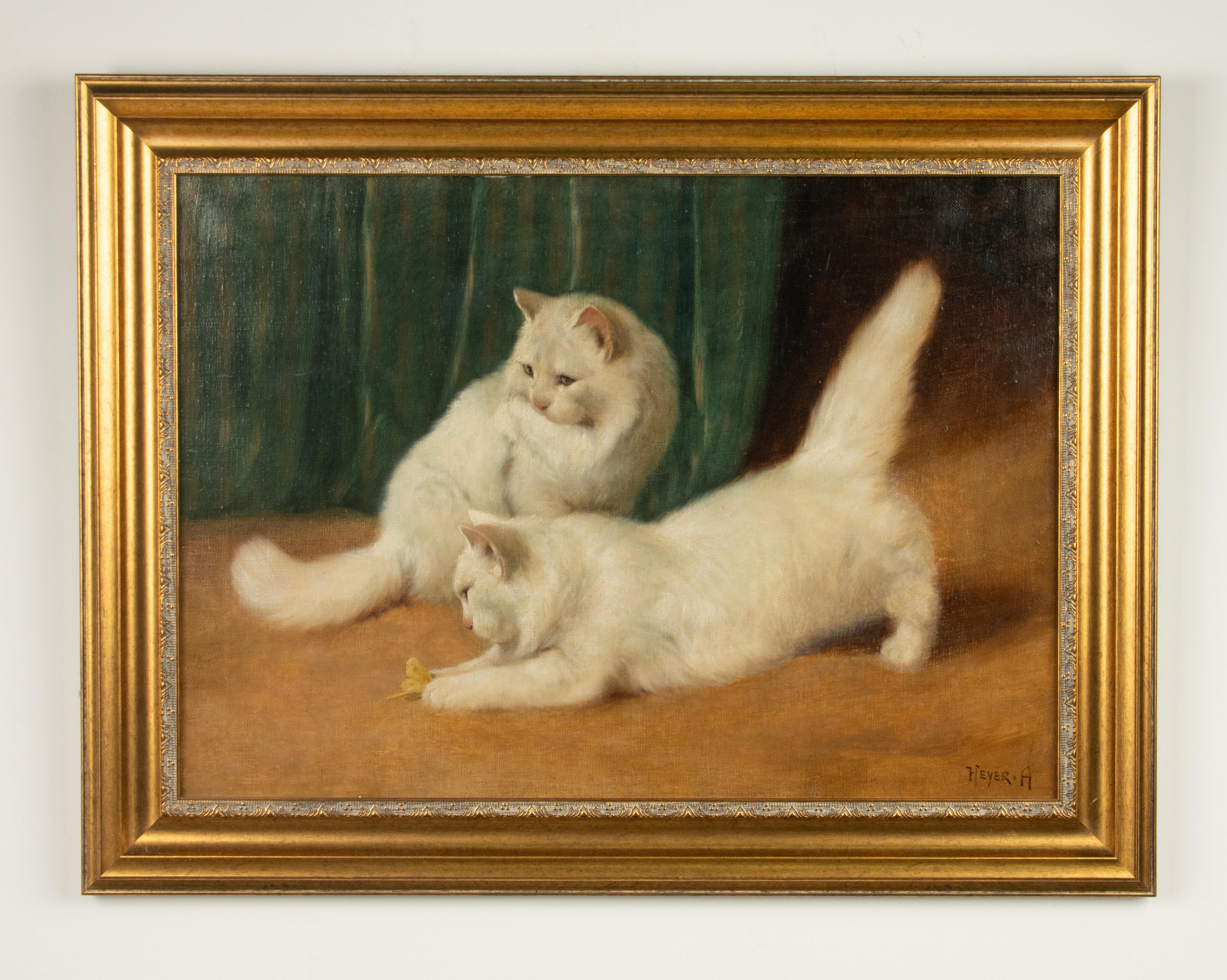 German Early 20th Century Oil Painting - Angora Cats Playing - Arthur Heyer