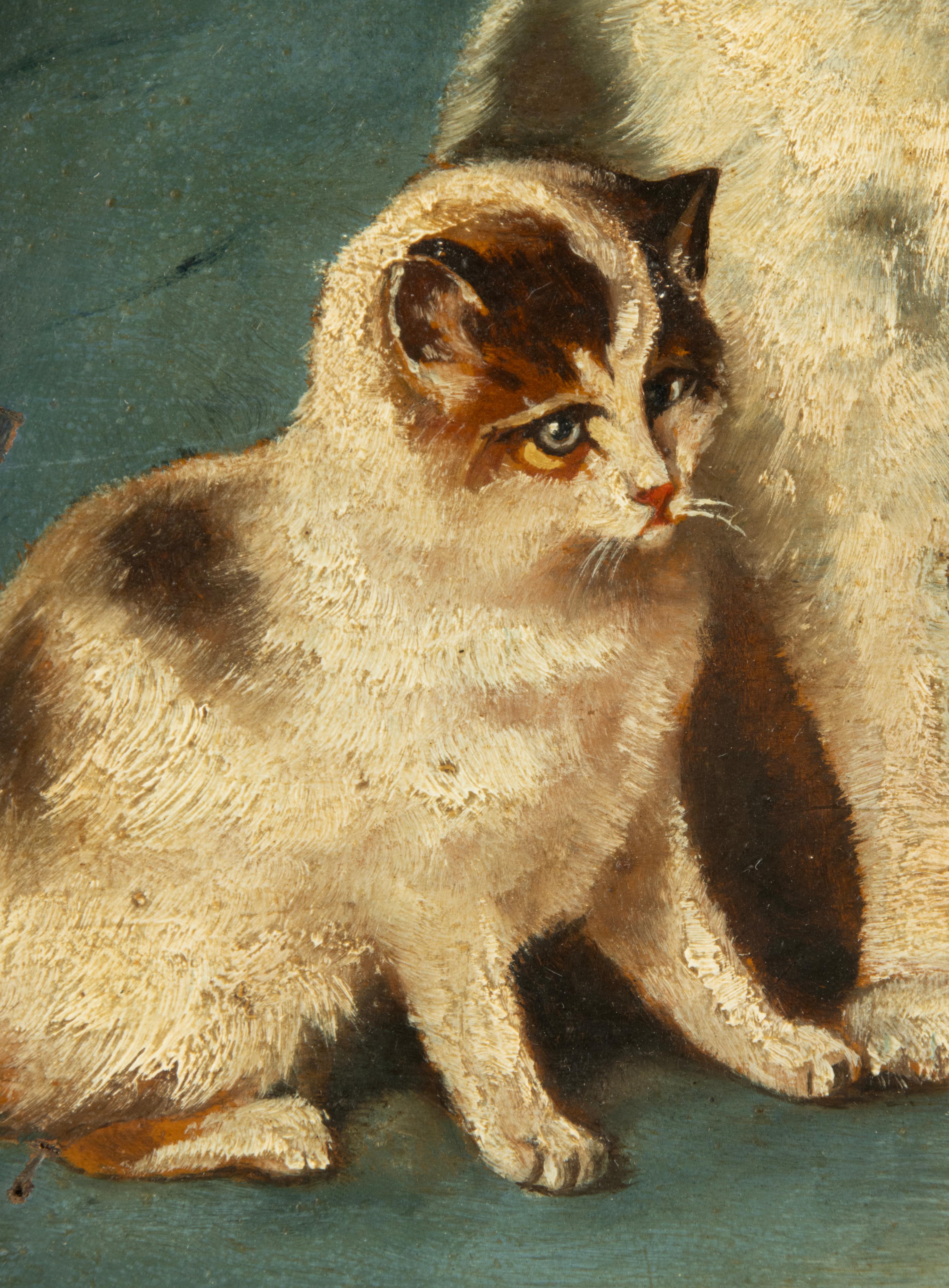 Pittura ad olio dei primi del Novecento - I gatti guardano la farfalla - L. Beir in vendita 2