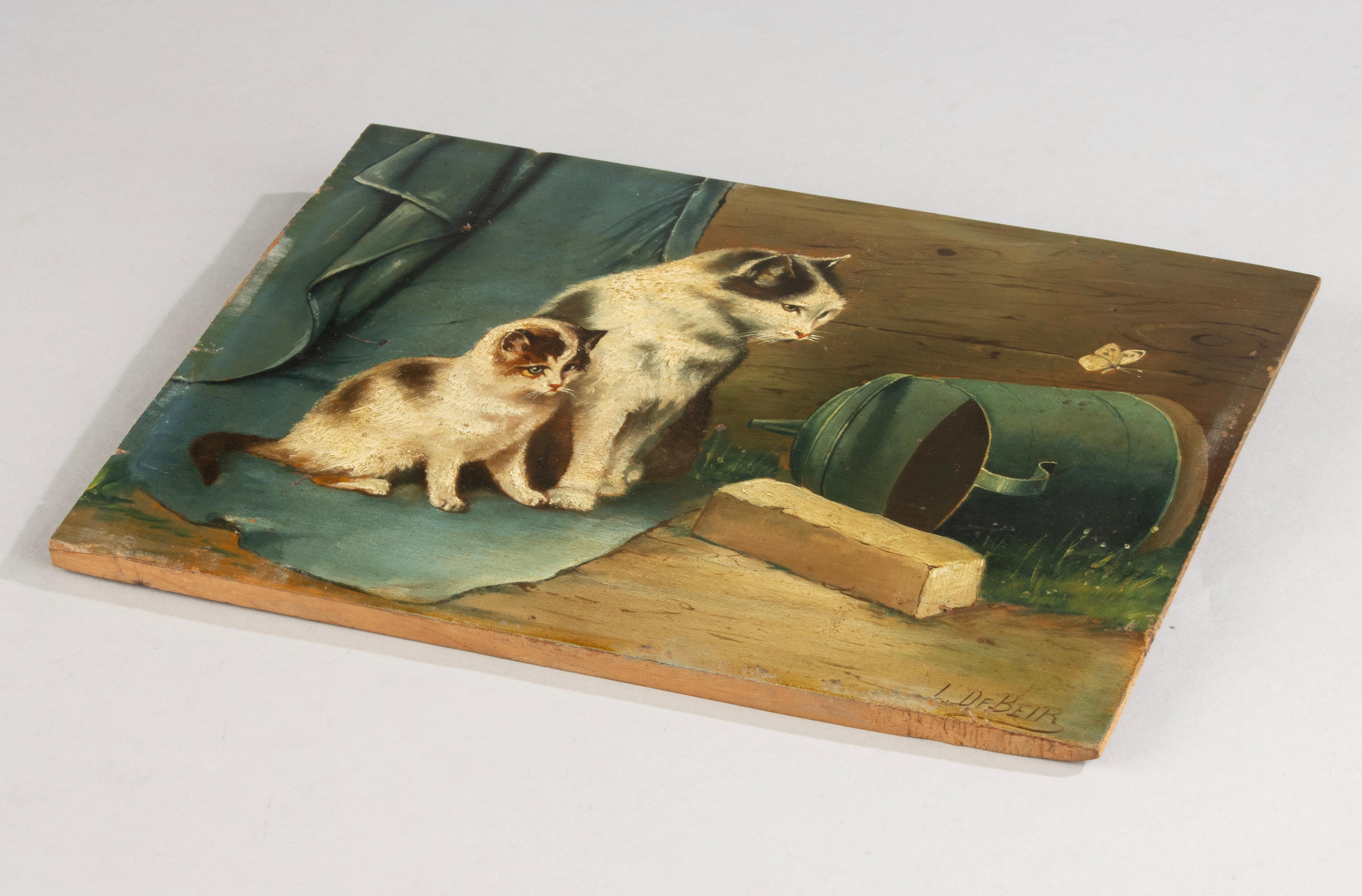 Pittura ad olio dei primi del Novecento - I gatti guardano la farfalla - L. Beir in vendita 4