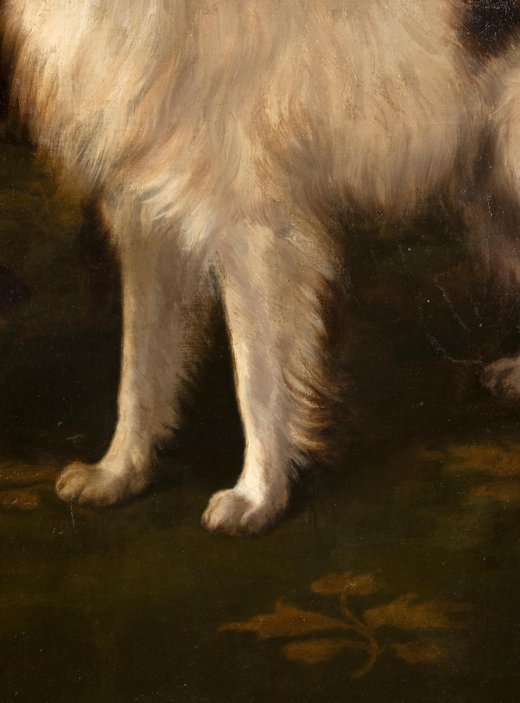 Early 20th Century Oil Painting Dogs Cairn Terrier & Collie by Alice Leotard 8