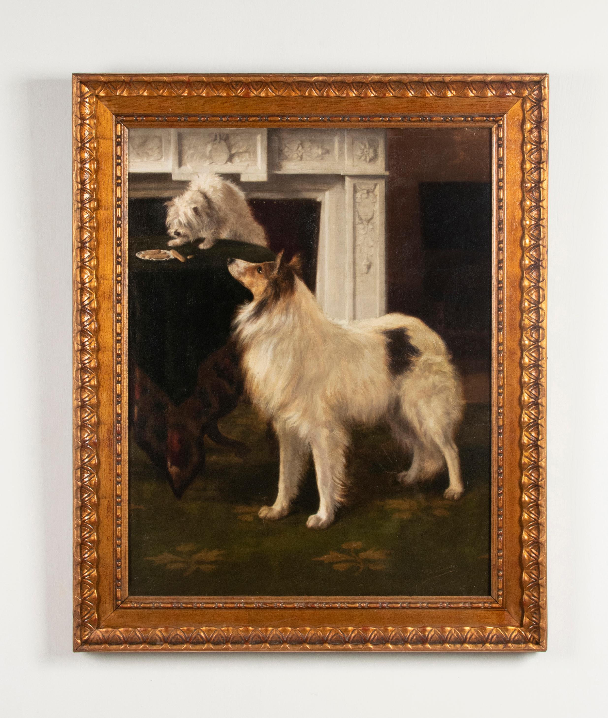 rough collie painting