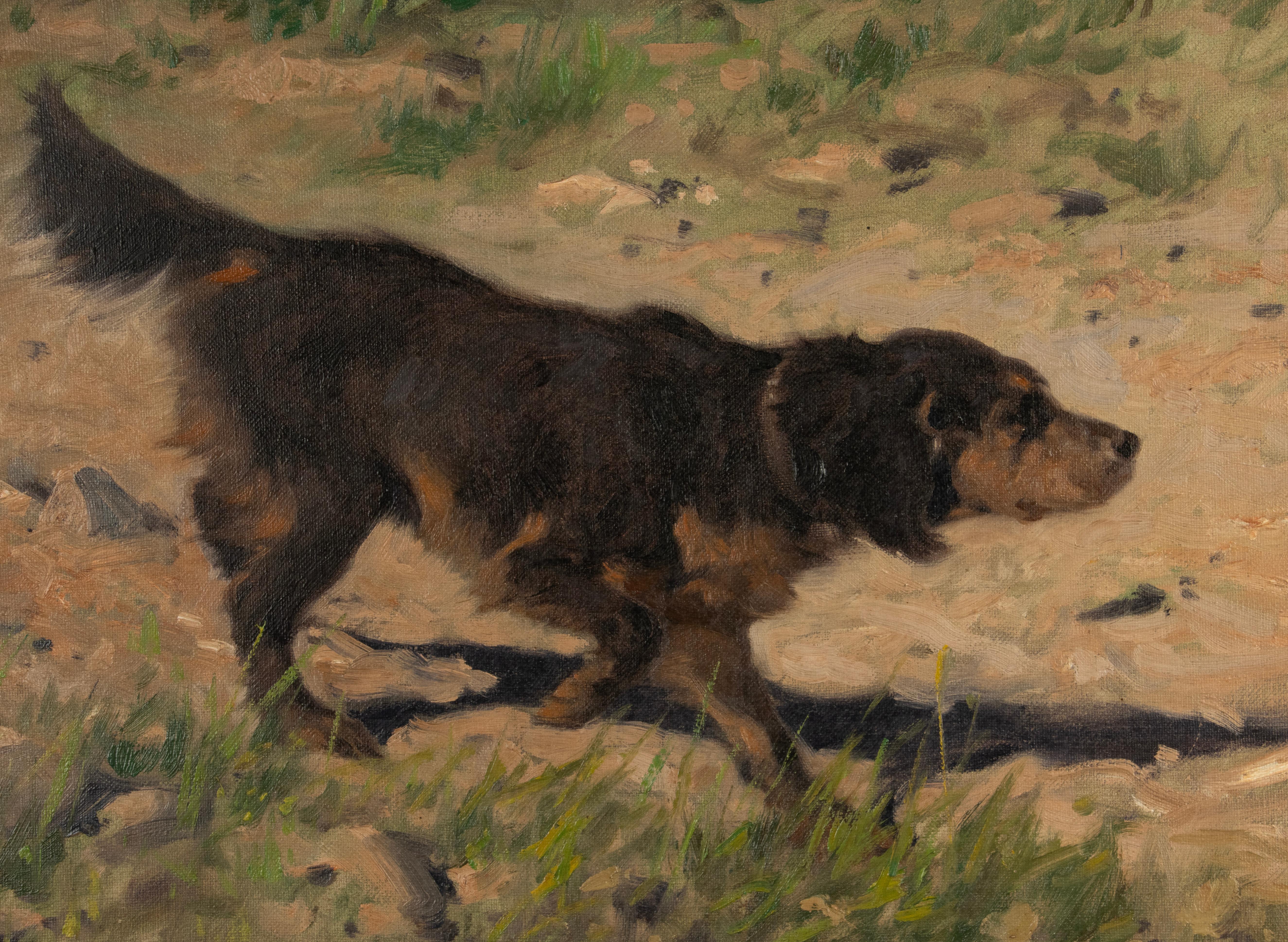 Early 20th Century Oil Painting - Gordon Setter Dog - by Arthur Heyer For Sale 5
