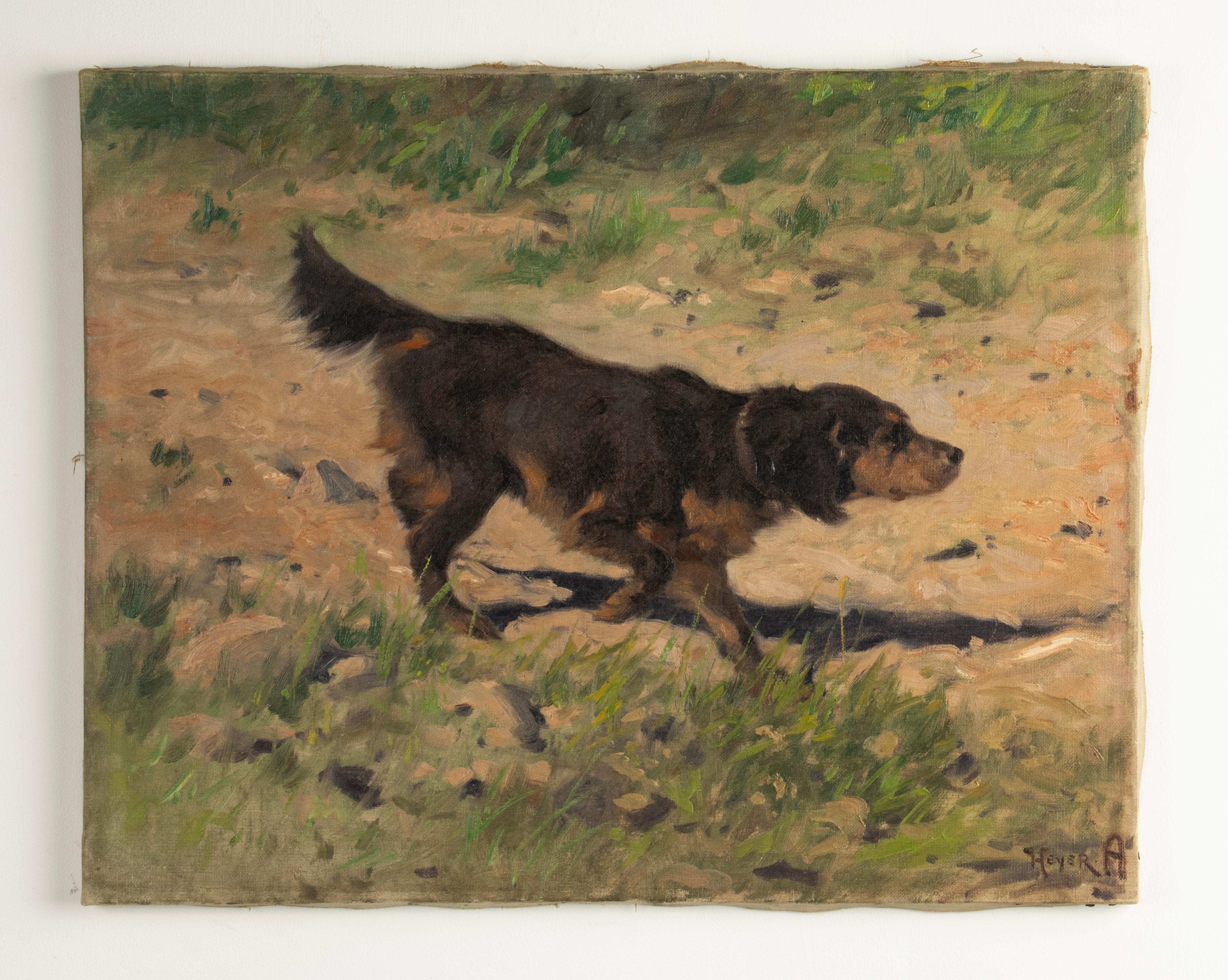 A beautiful oil painting, a Gorden Setter dog on the walk, by the German artist Arthur Heyer. Signed lower right. 
Beautifully done. The movement and anatomy of the dog are taken from life and the dog lover will certainly recognize the nose of the